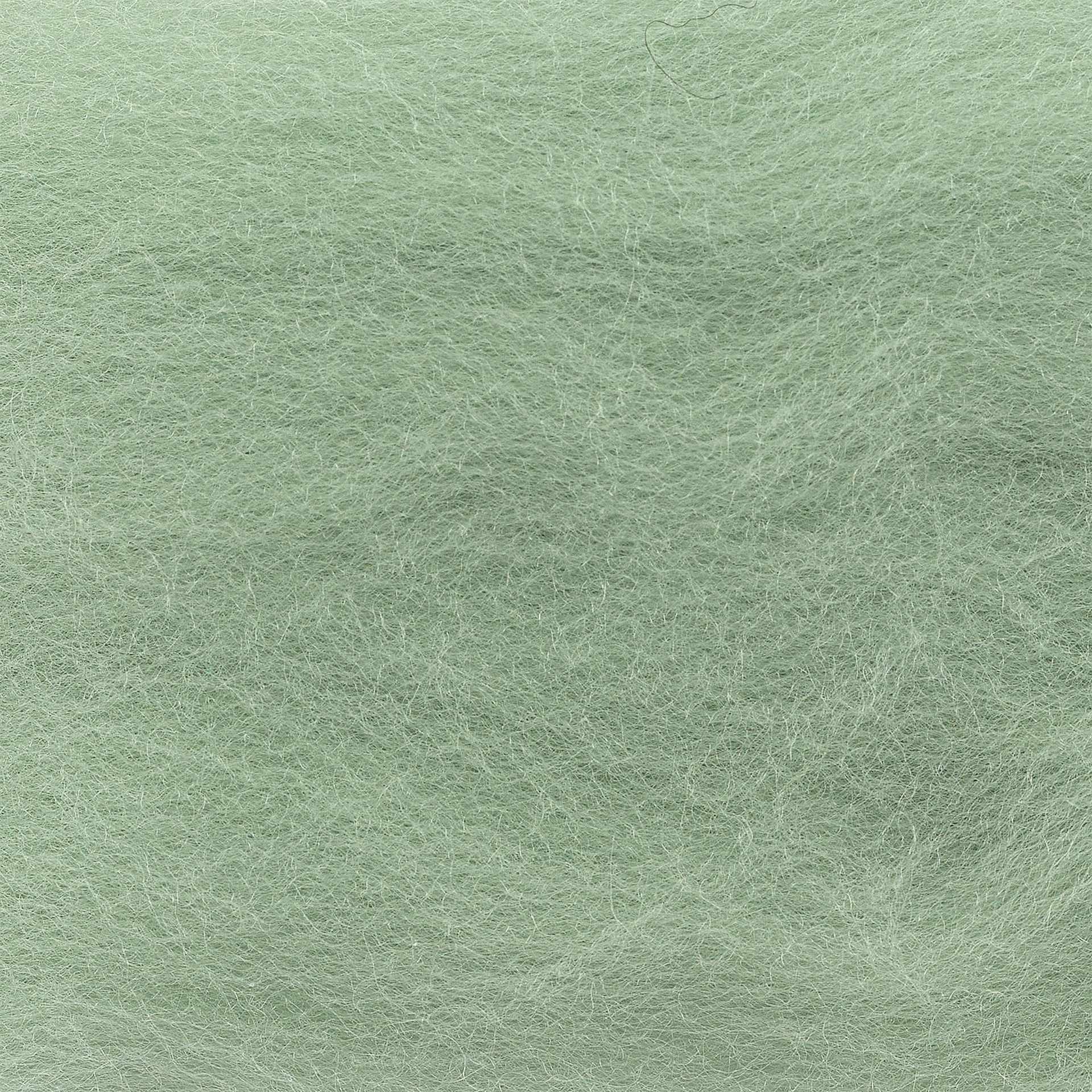 Wistyria Editions 100% Wool Roving - Mint, 14" - close-up