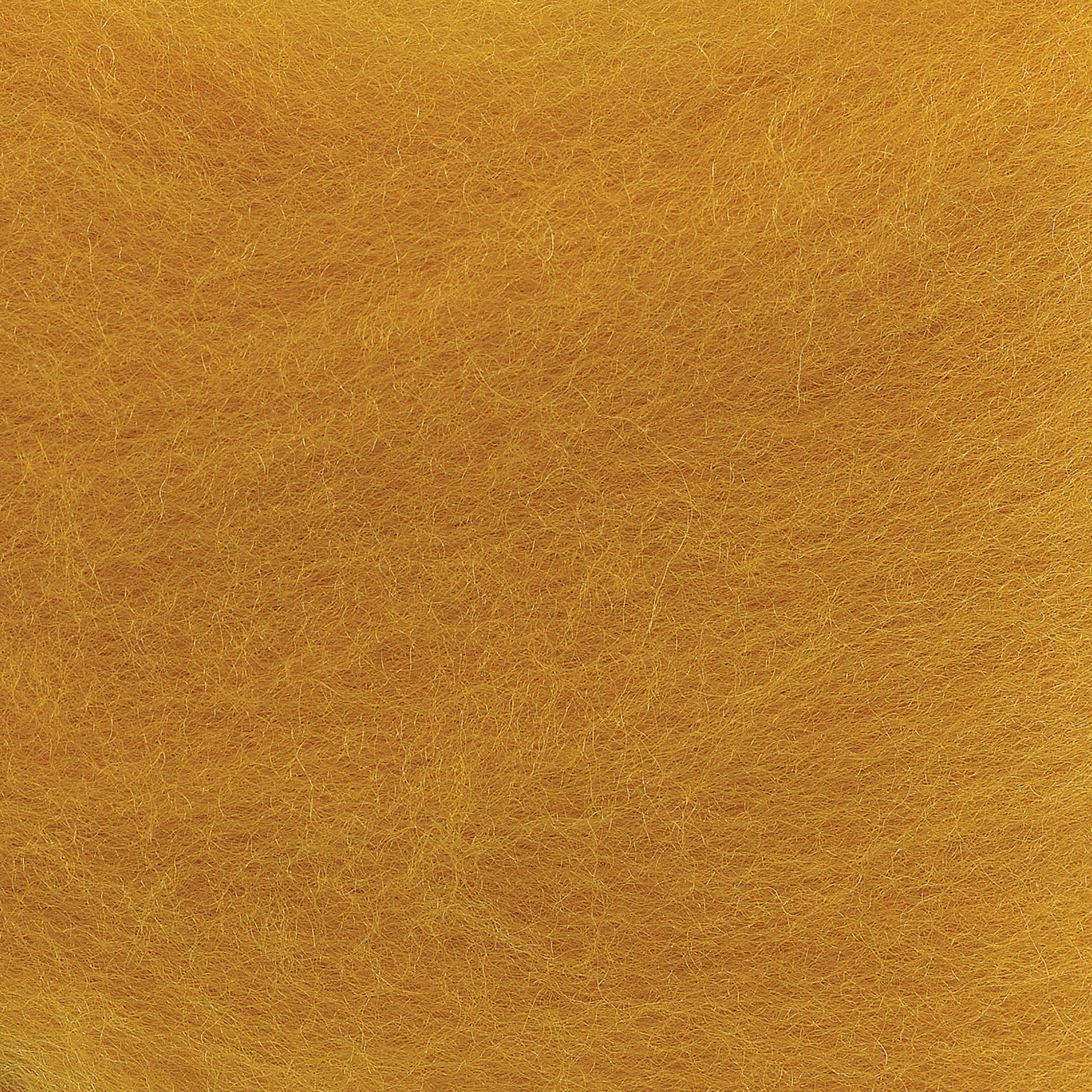 Wistyria Editions 100% Wool Roving - Butterscotch, 14" - close-up