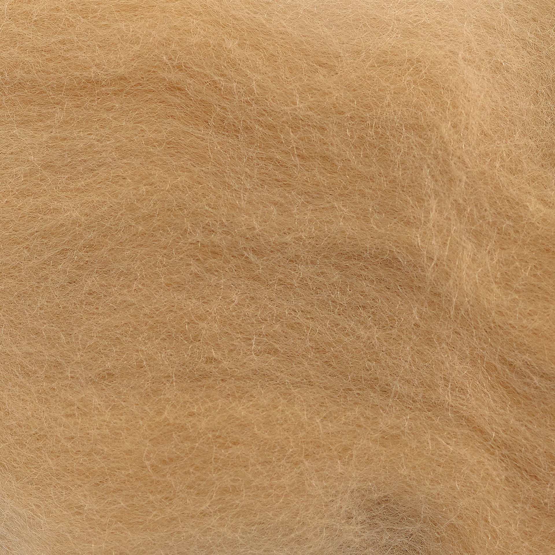 Wistyria Editions 100% Wool Roving - Camel, 14" - close-up