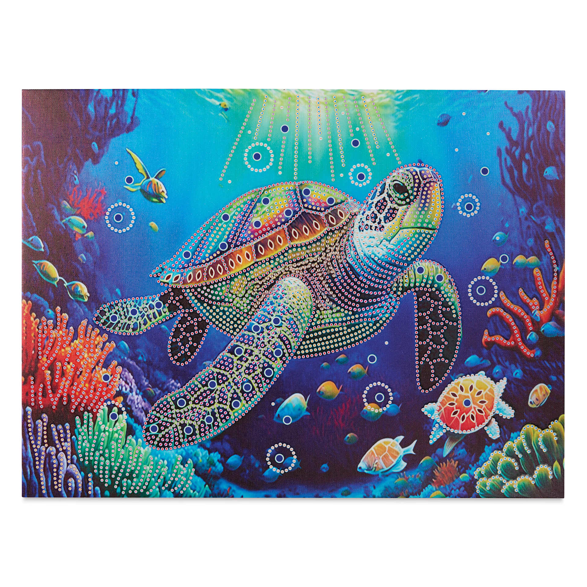 Craft Medley Diamond Painting Canvas Art Kit - Turtle