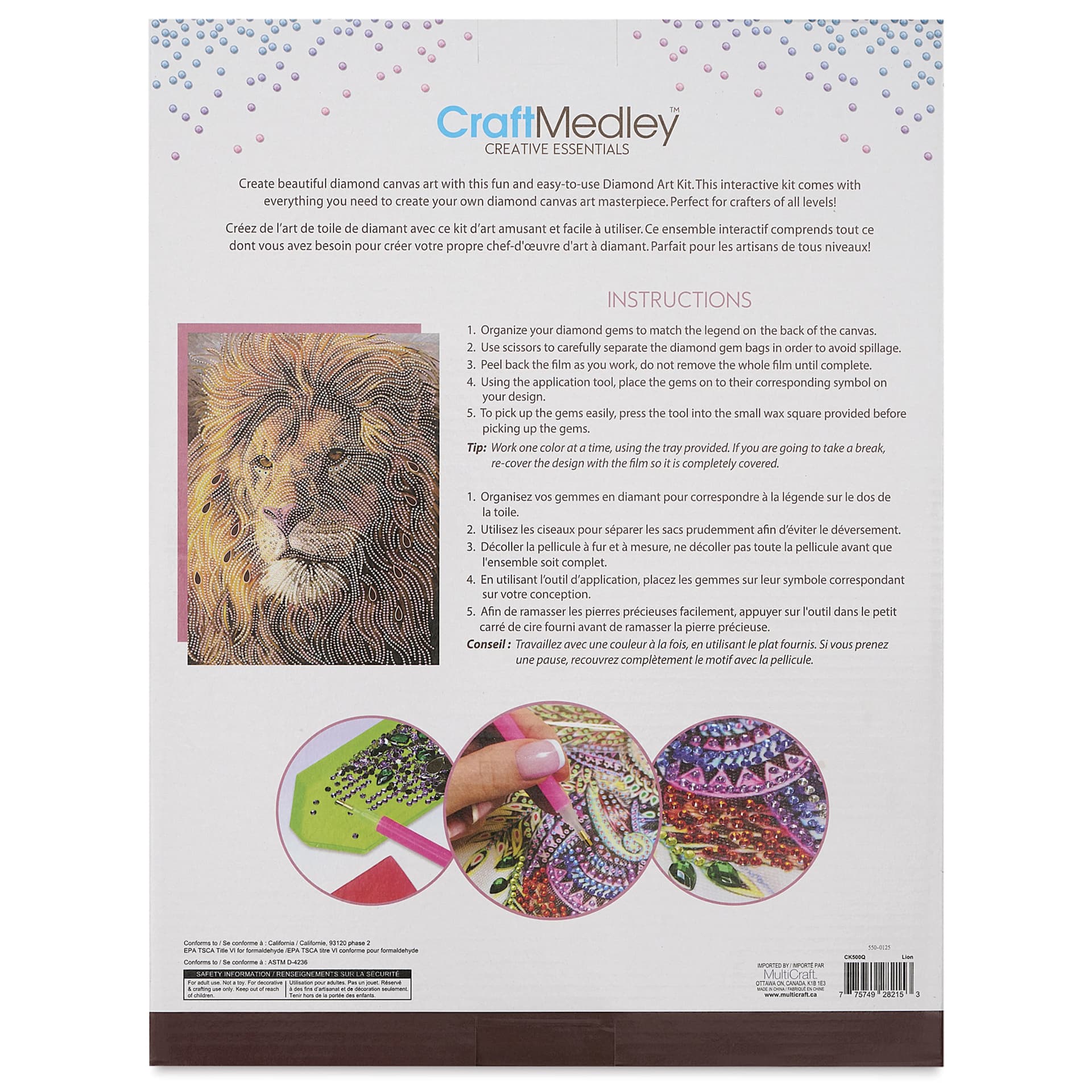 Craft Medley Diamond Painting Canvas Art Kit - Lion - back of packaging
