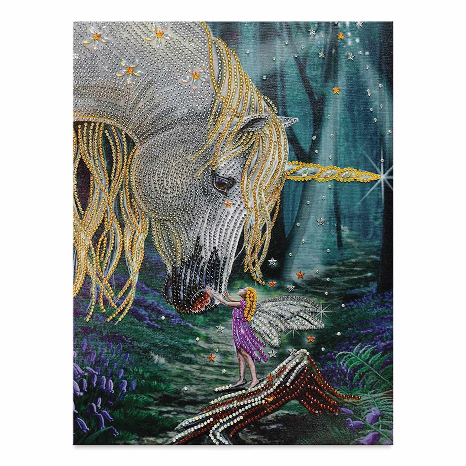 Craft Medley Diamond Painting Canvas Art Kit - Fantasy Friends