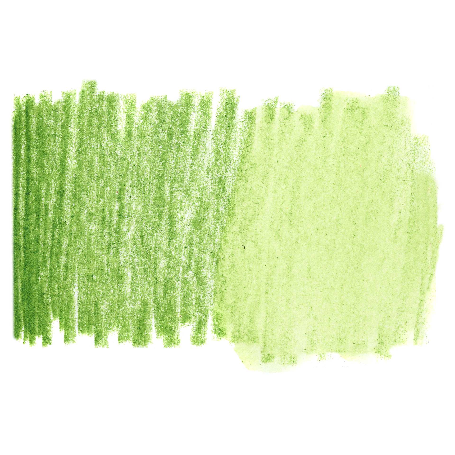 Holbein Artists' Watercolor Pencil - Sap Green, 075 swatch