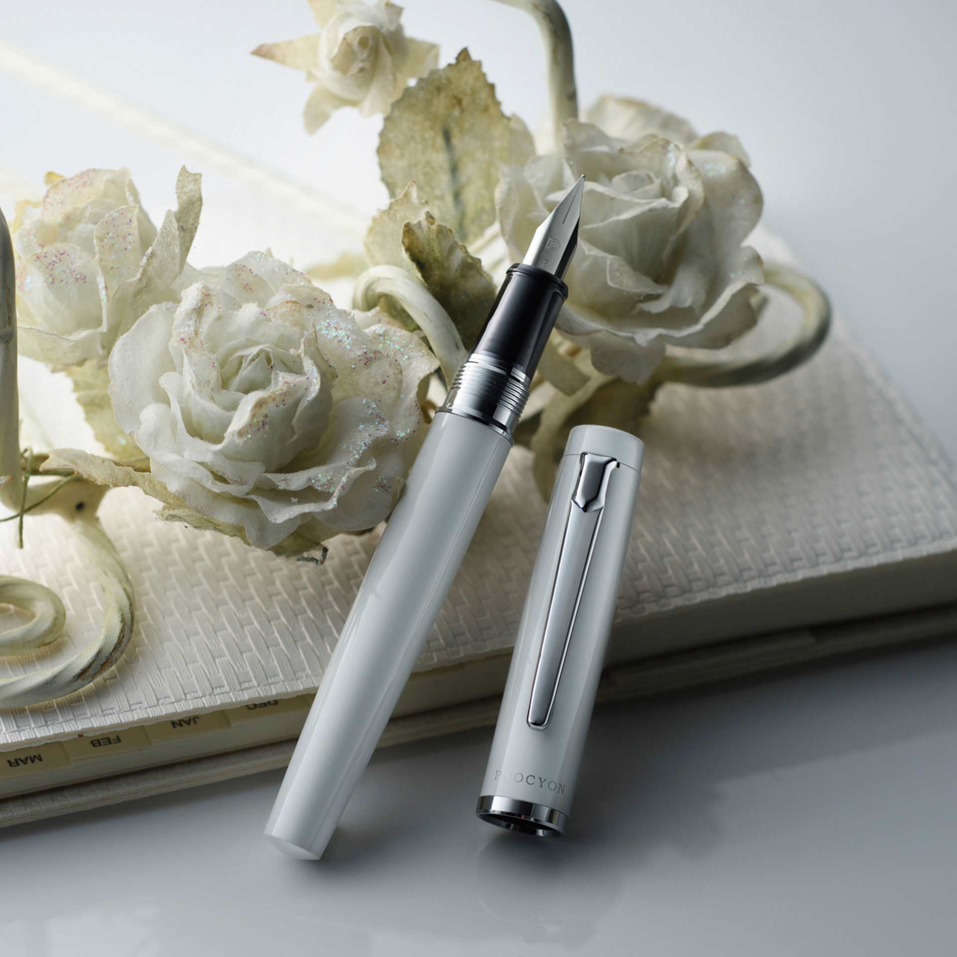 Platinum Procyon Fountain Pen - Porcelain White, Medium Nib, pen and cap with florals (image may depict a different size nib)
