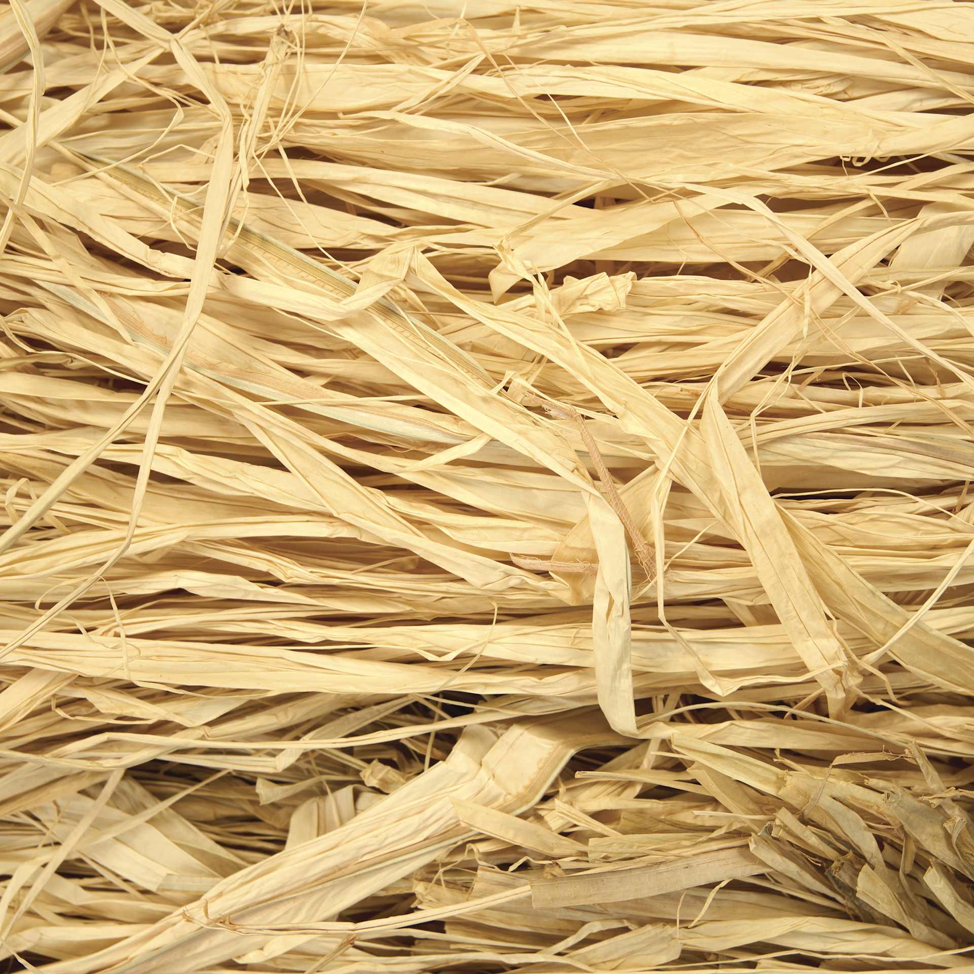 SuperMoss Raffia - Natural - close-up