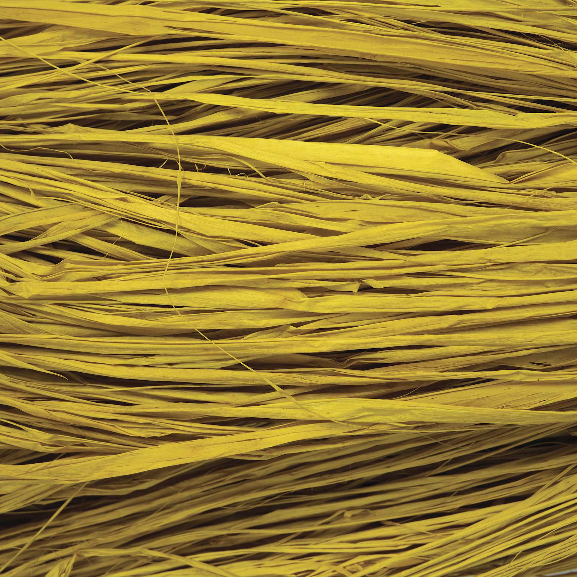 SuperMoss Raffia - Yellow - close-up