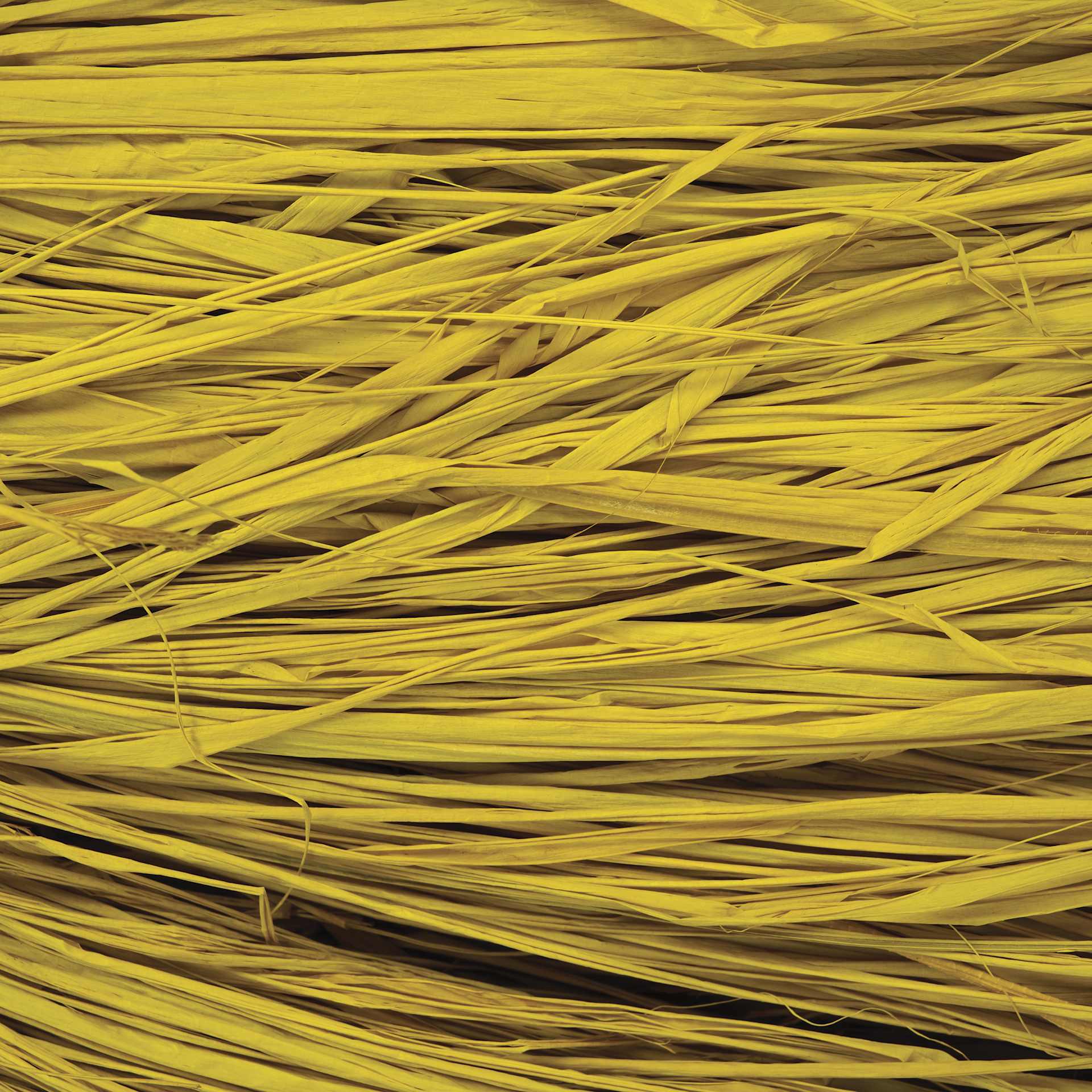 SuperMoss Raffia - Yellow - close-up