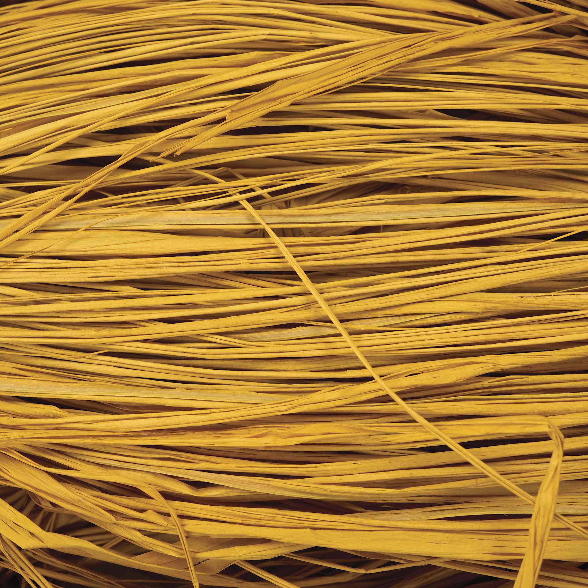 SuperMoss Raffia - Golden - close-up