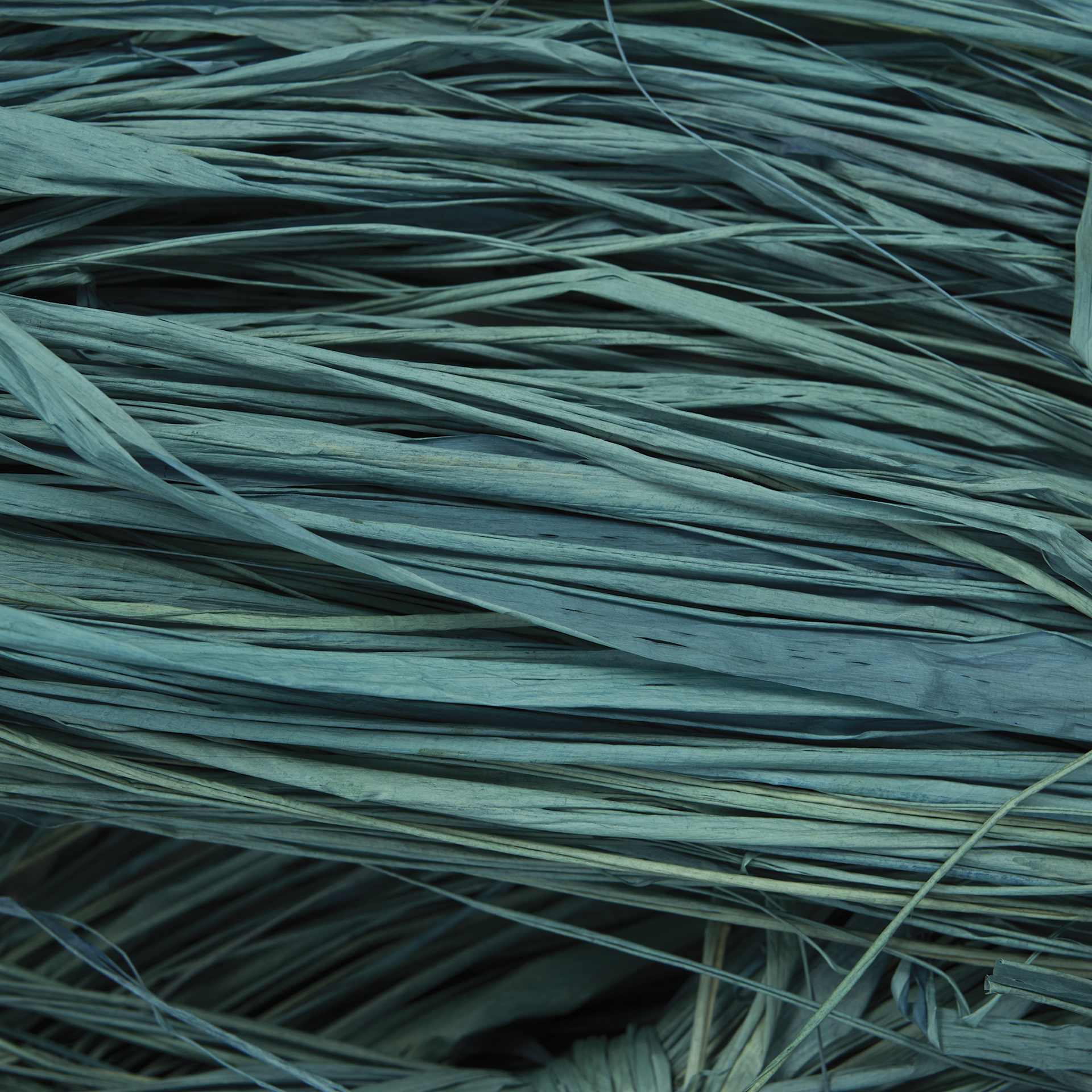 SuperMoss Raffia - Williamsburg Blue - close-up