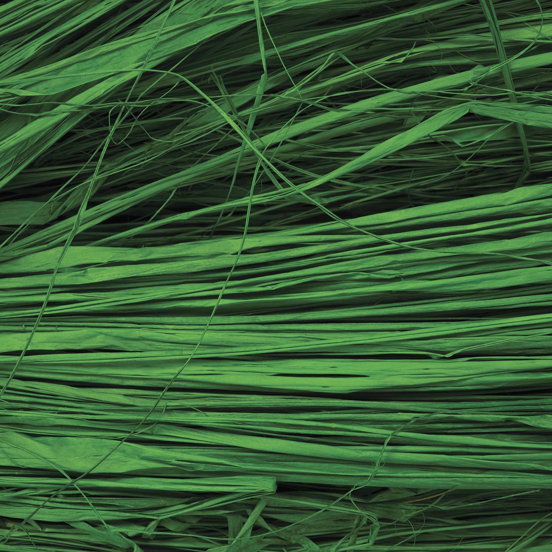 SuperMoss Raffia - Green Grass - close-up