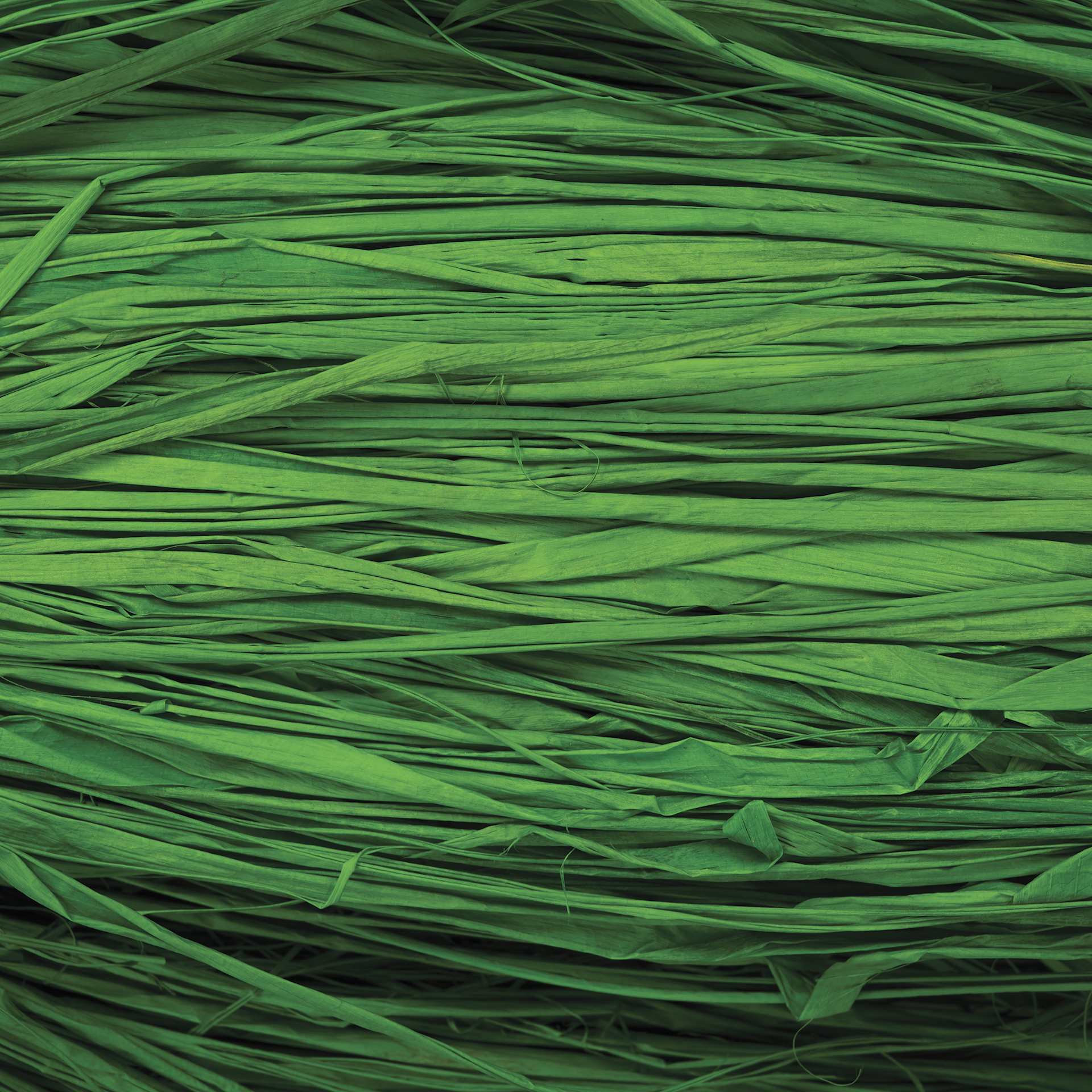 SuperMoss Raffia - Grass Green - close-up
