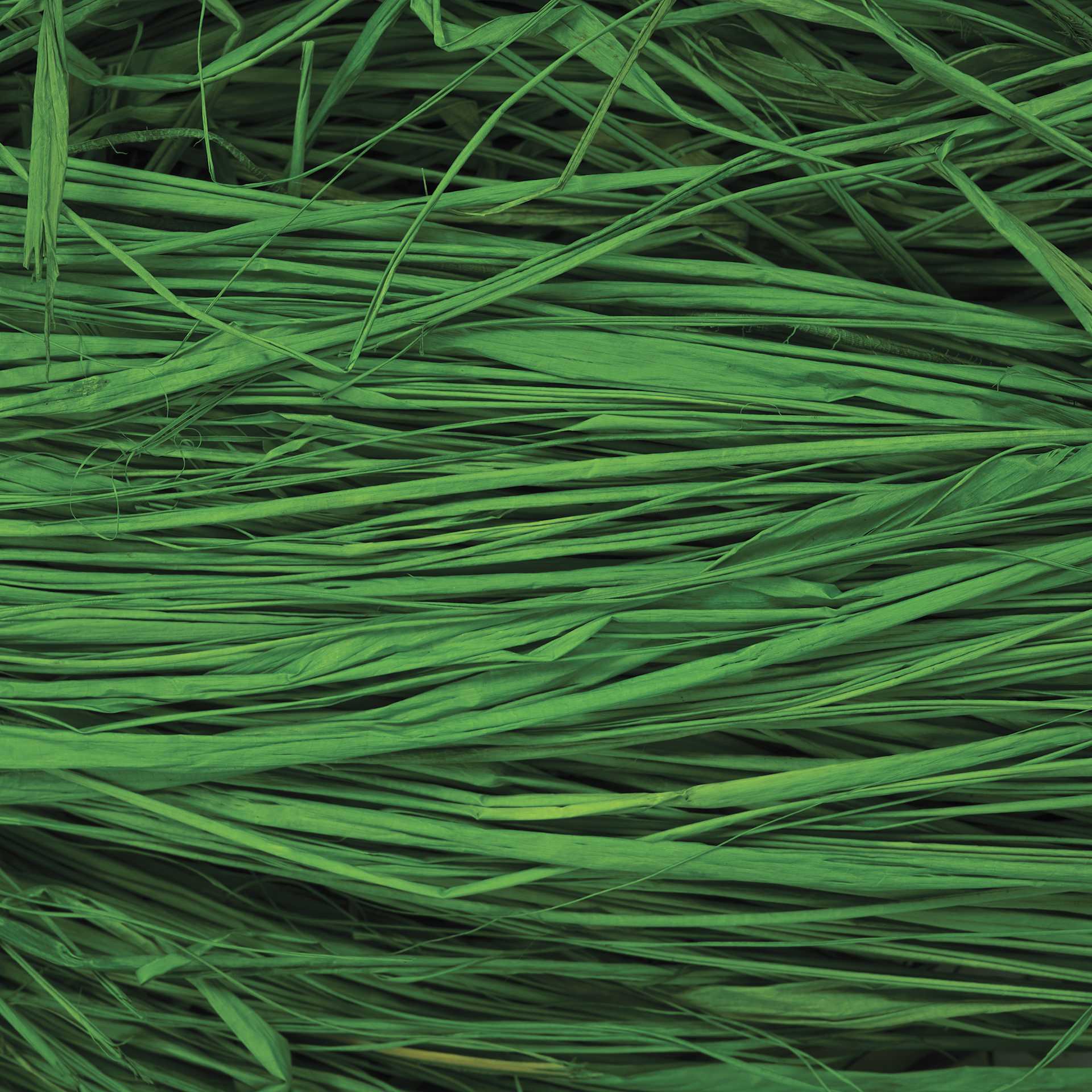 SuperMoss Raffia - Grass Green - close-up