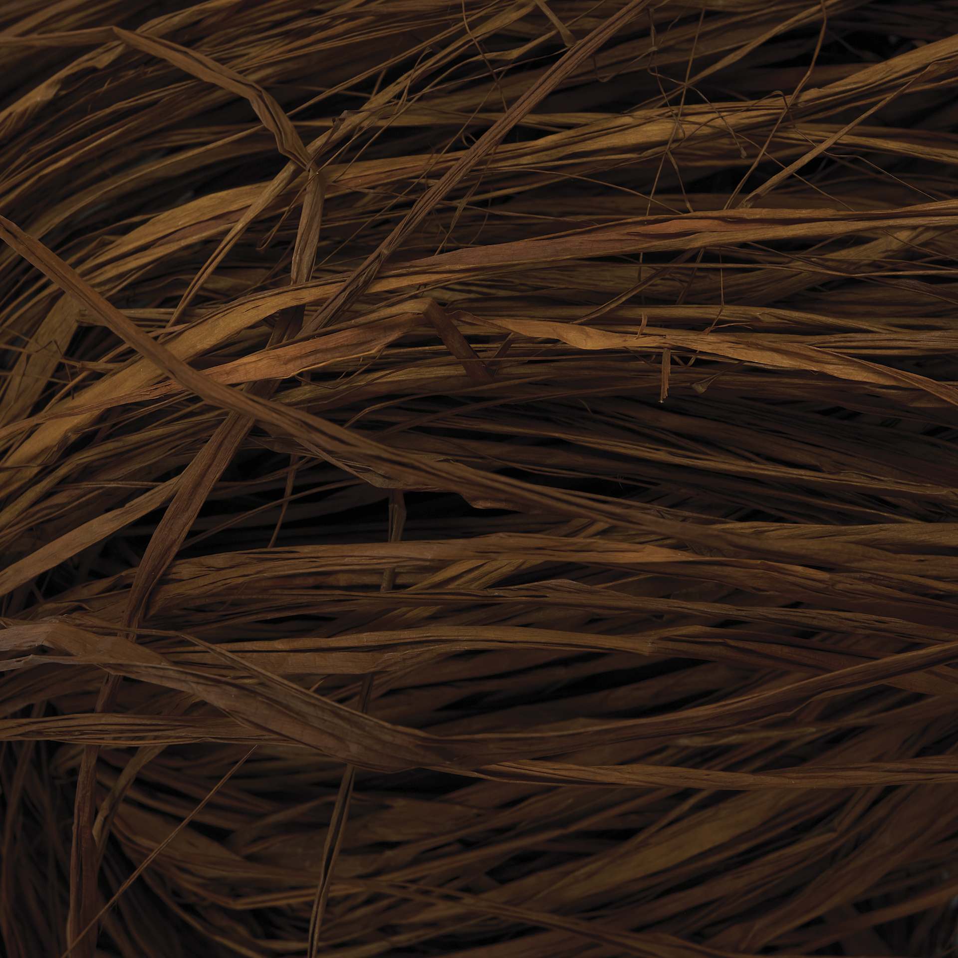 SuperMoss Raffia - Brown - close-up