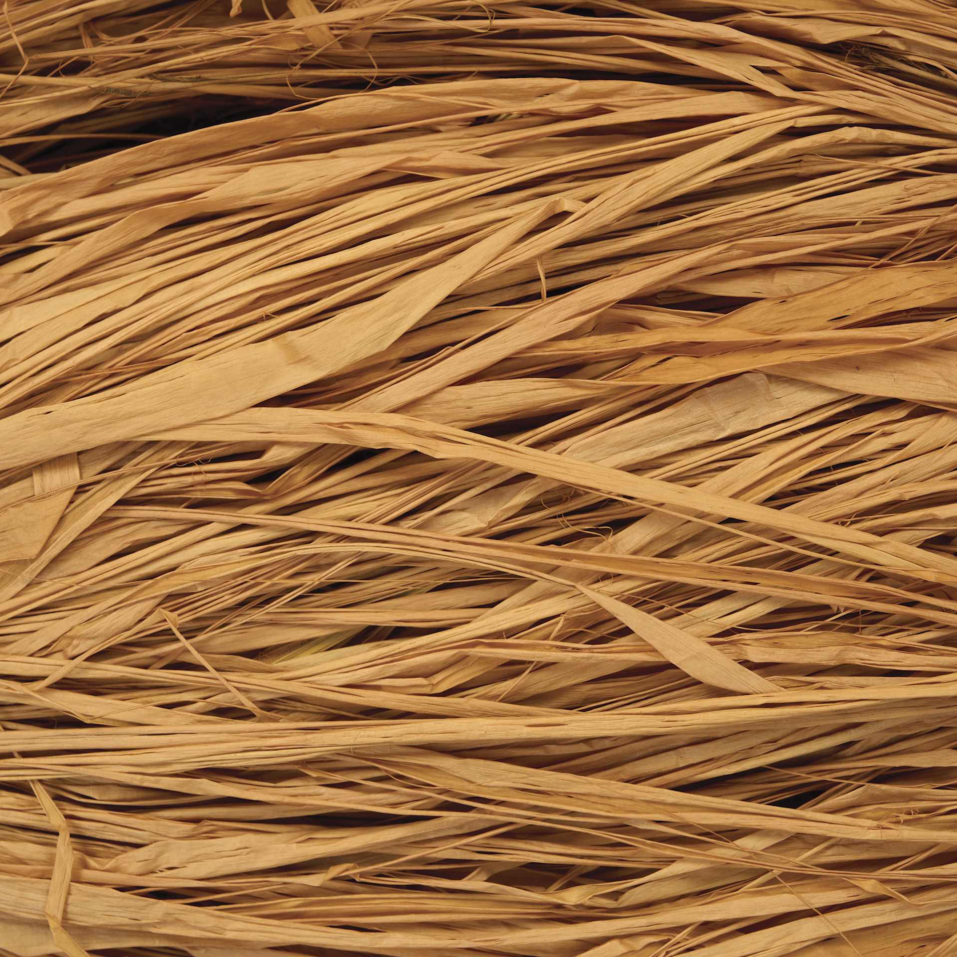 SuperMoss Raffia - Terra Cotta - close-up