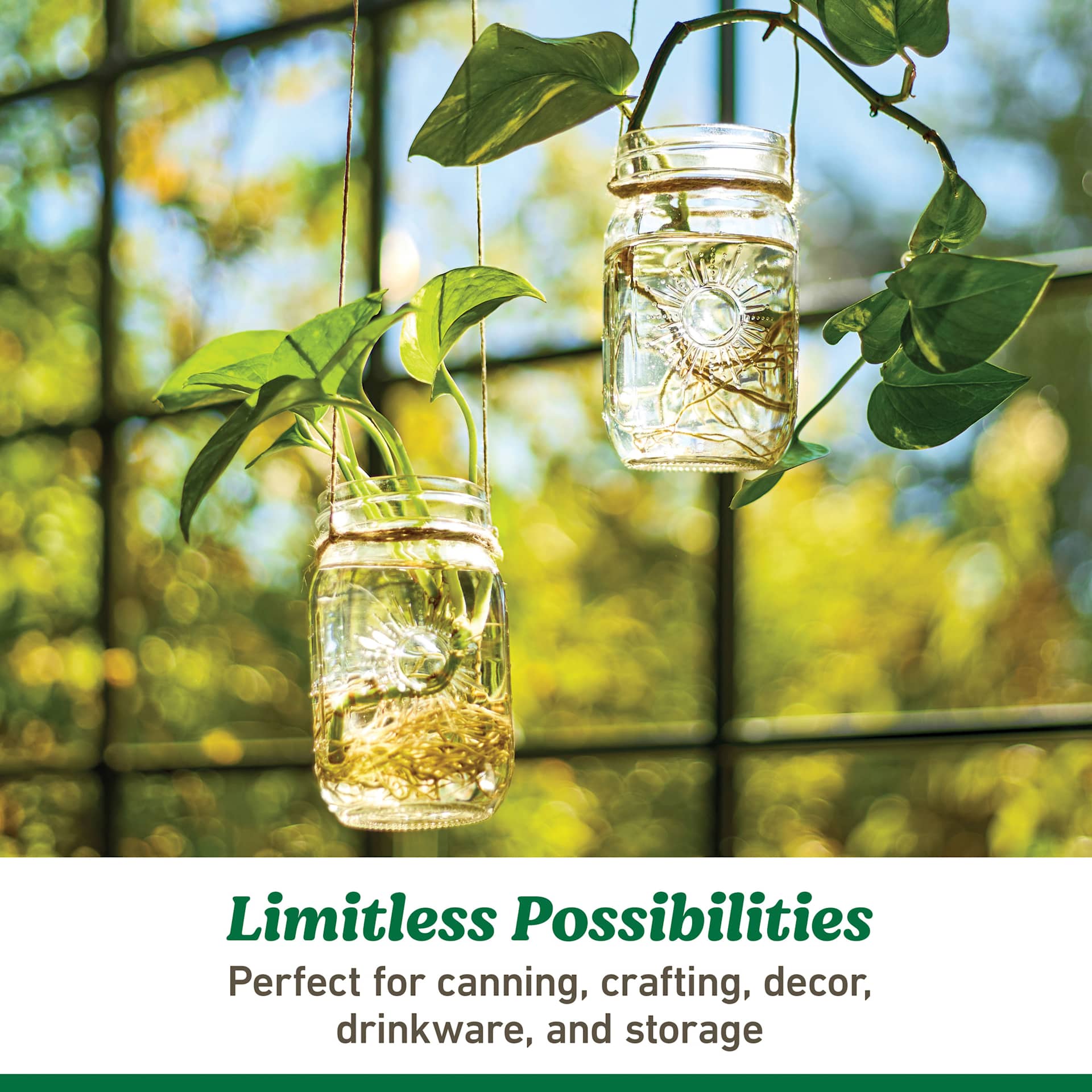 Ball Sunshine Keepsake Mason Jars - hanging jars with plants
