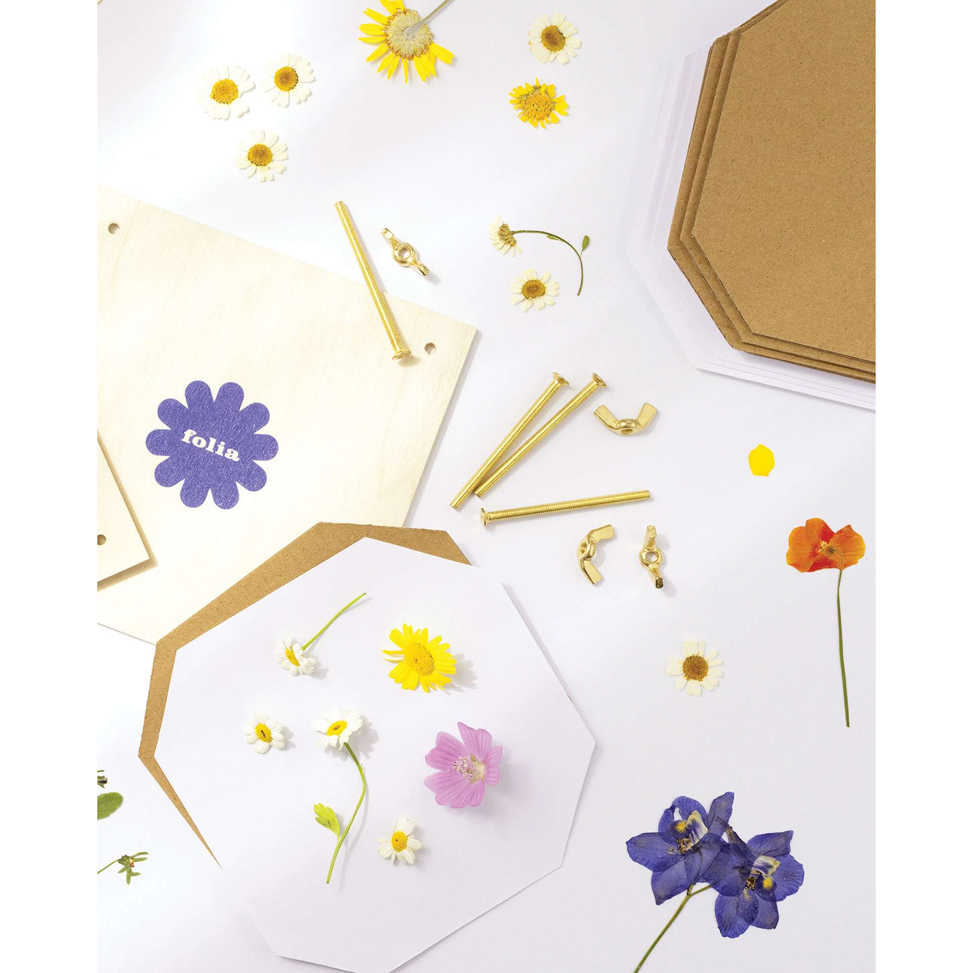 Folia Flower Press Kit contents laying on table