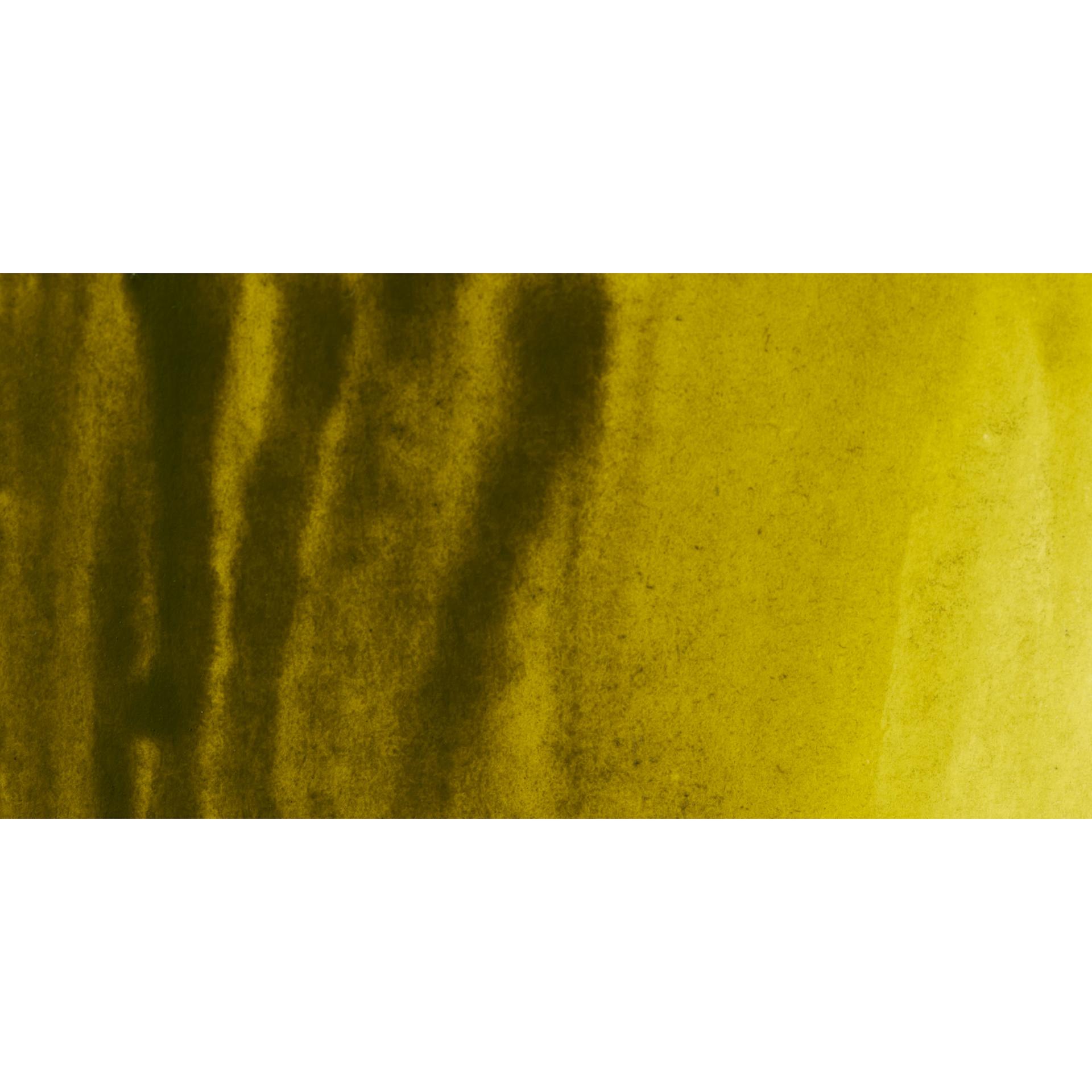 PWC Extra Fine Professional Watercolor - Greenish Yellow swatch