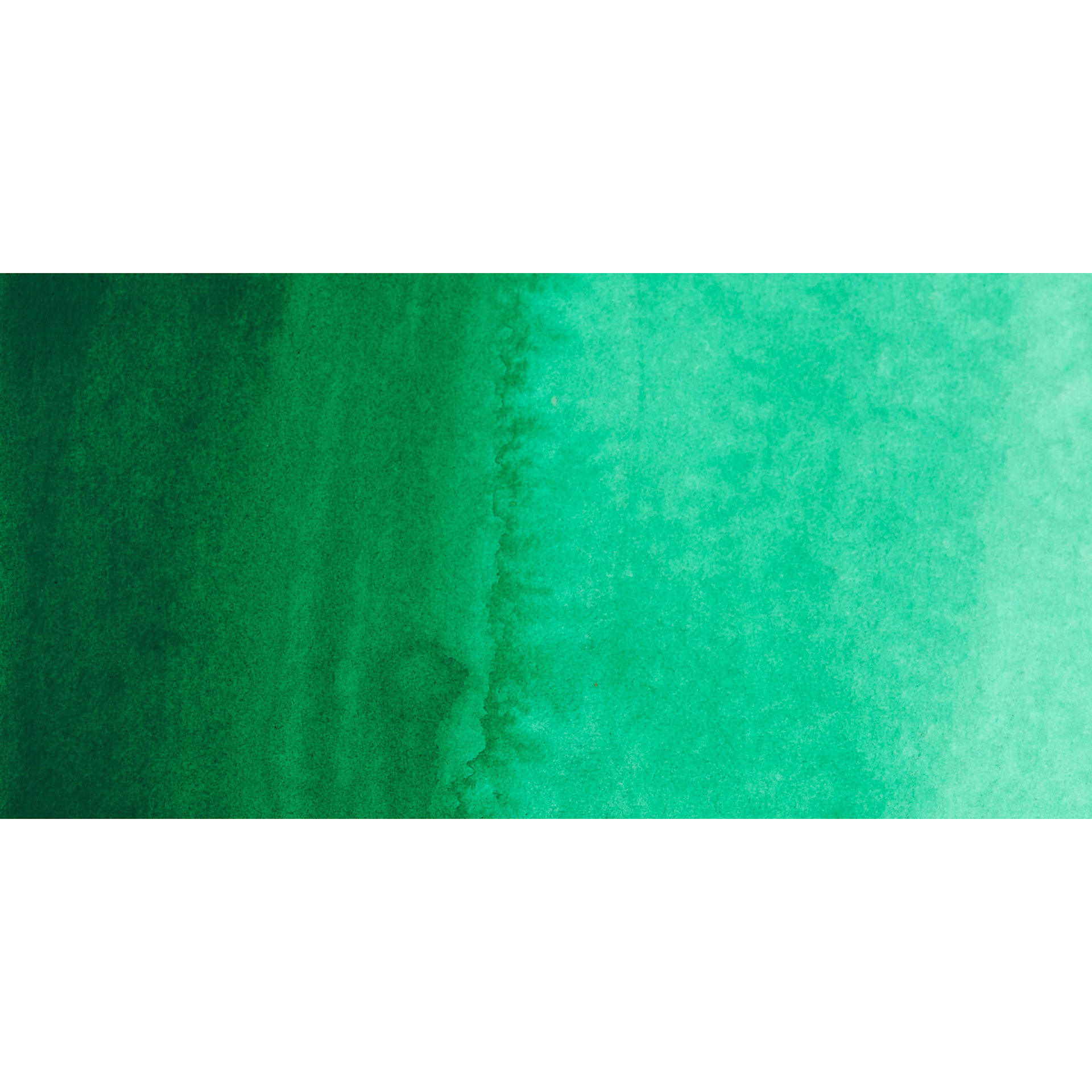 PWC Extra Fine Professional Watercolor - Green Deep swatch