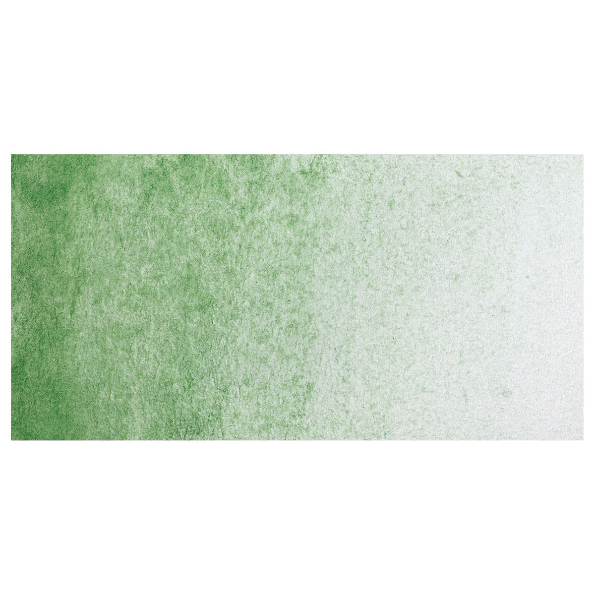 PWC Extra Fine Professional Watercolor - Oxide of Chromium, 15 ml, Swatch