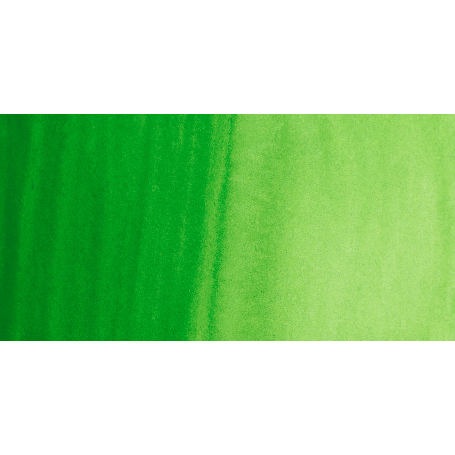 PWC Extra Fine Professional Watercolor - Permanent Green 1 swatch