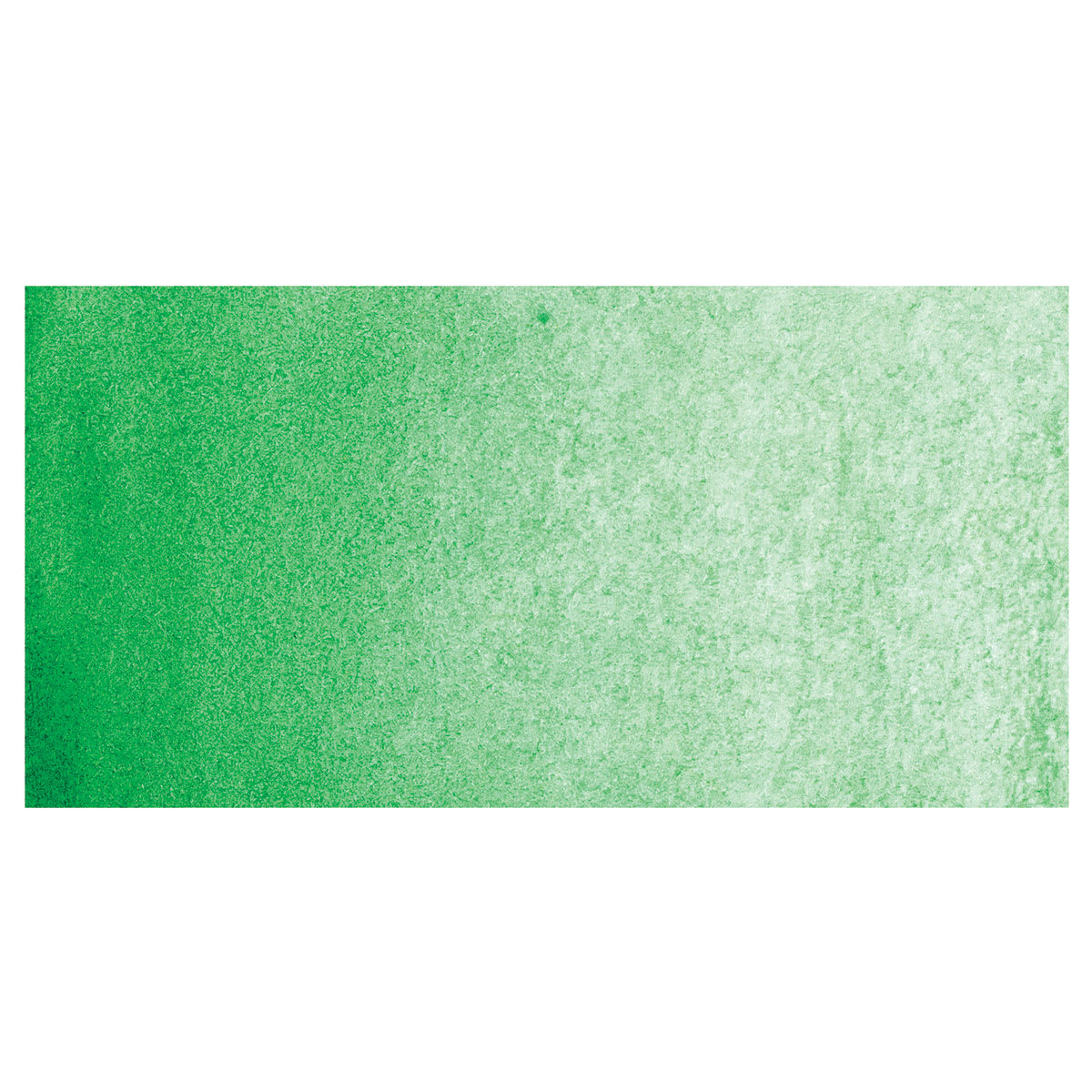 PWC Extra Fine Professional Watercolor - Hooker's Green, 15 ml, Swatch