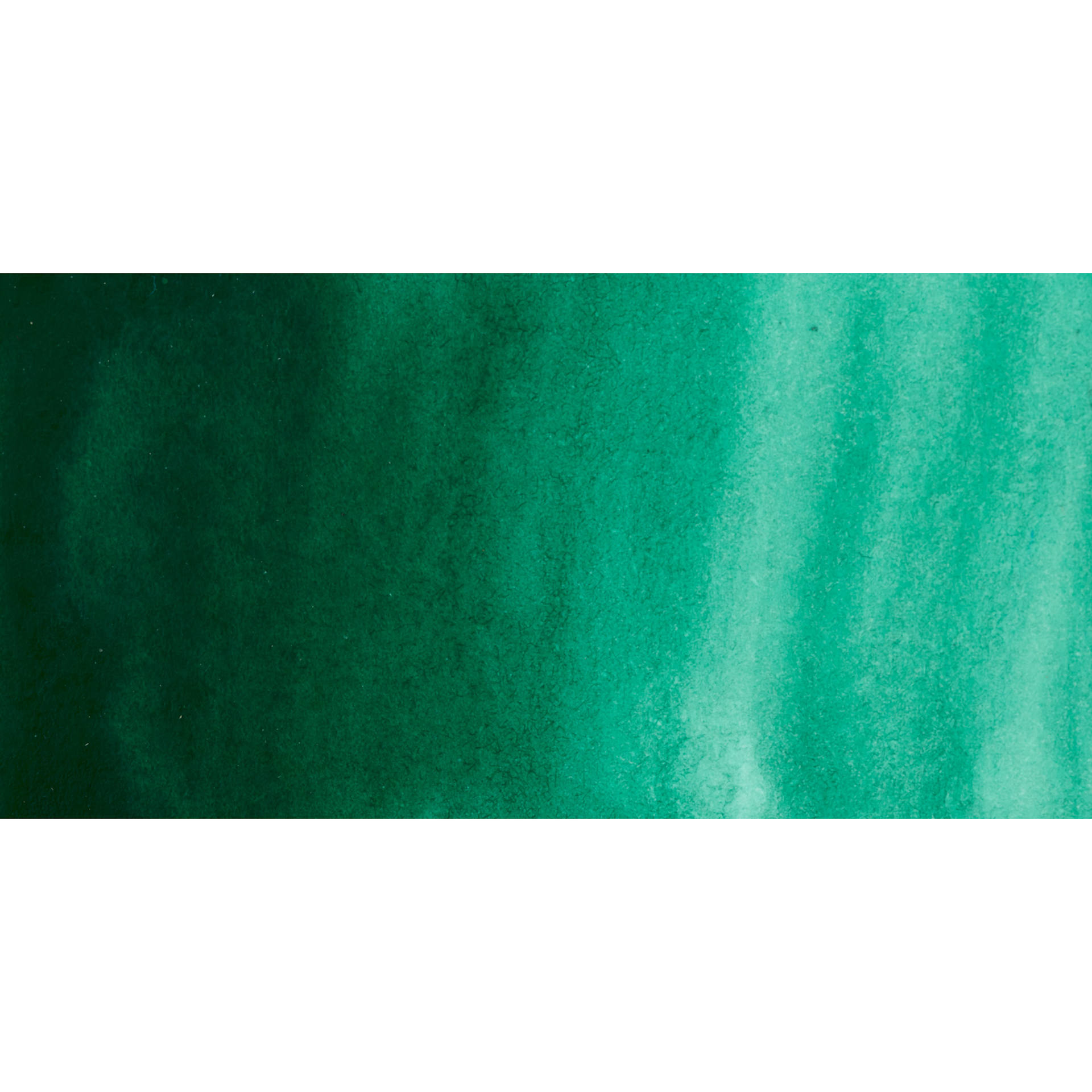 PWC Extra Fine Professional Watercolor - Cadmium Green Deep, swatch