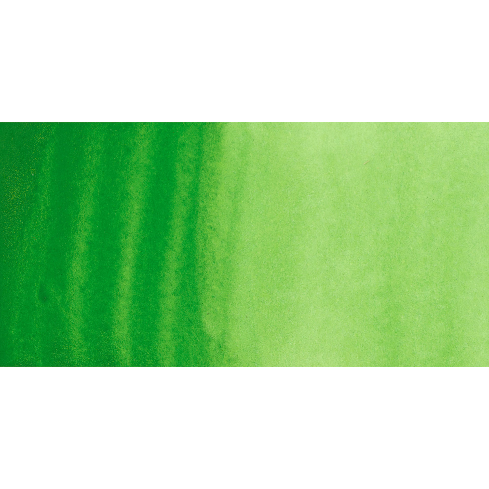 PWC Extra Fine Professional Watercolor - Cadmium Green Middle swatch