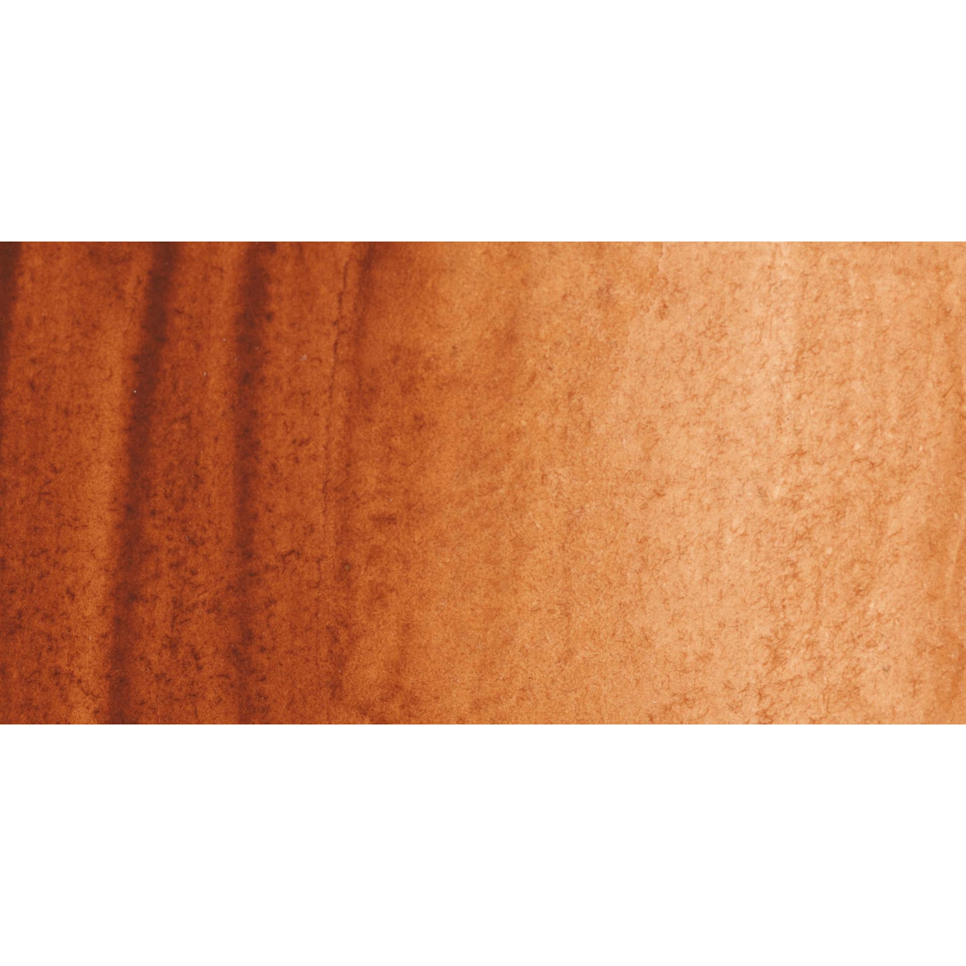 PWC Extra Fine Professional Watercolor - Brown swatch