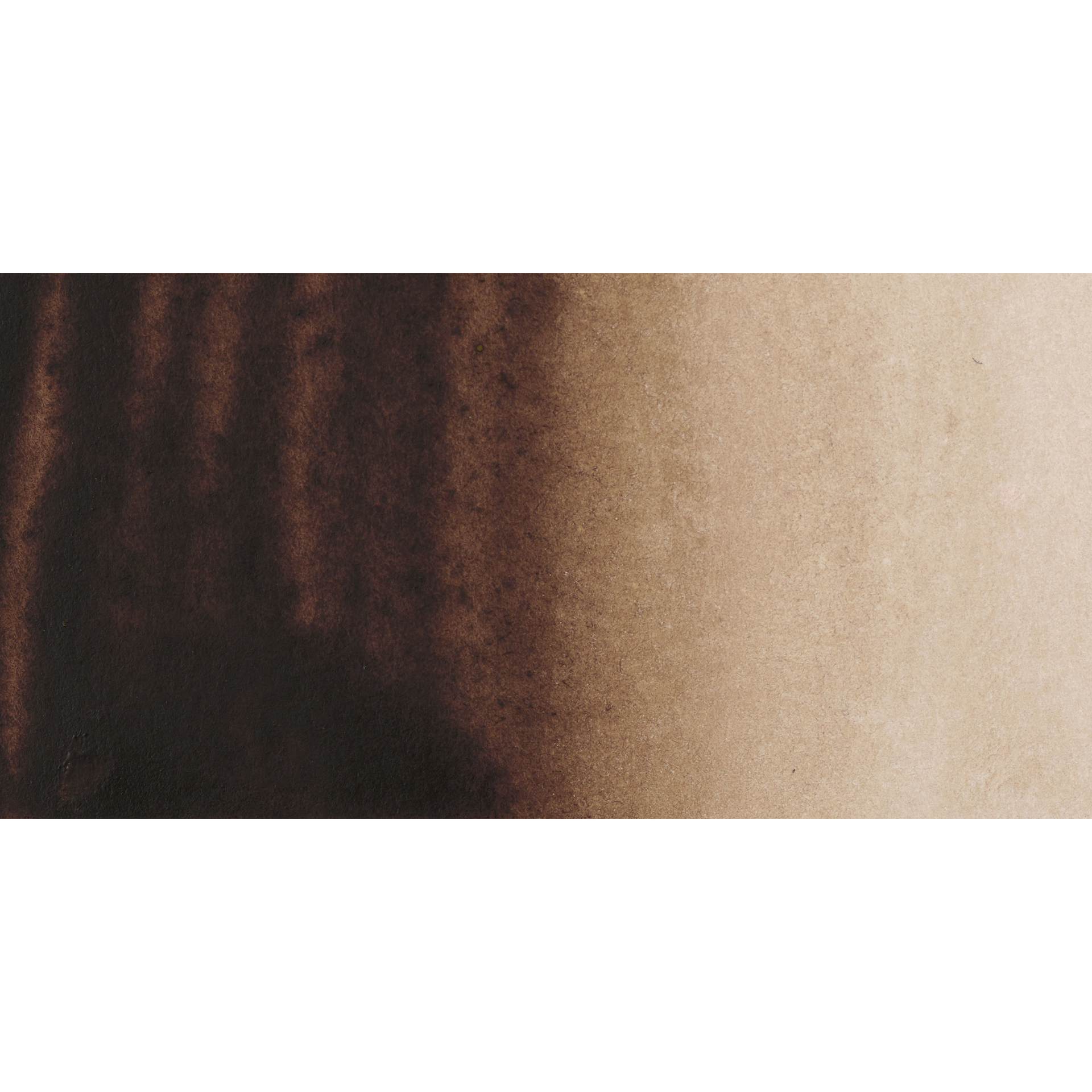 PWC Extra Fine Professional Watercolor - Vandyke Brown 2 swatch