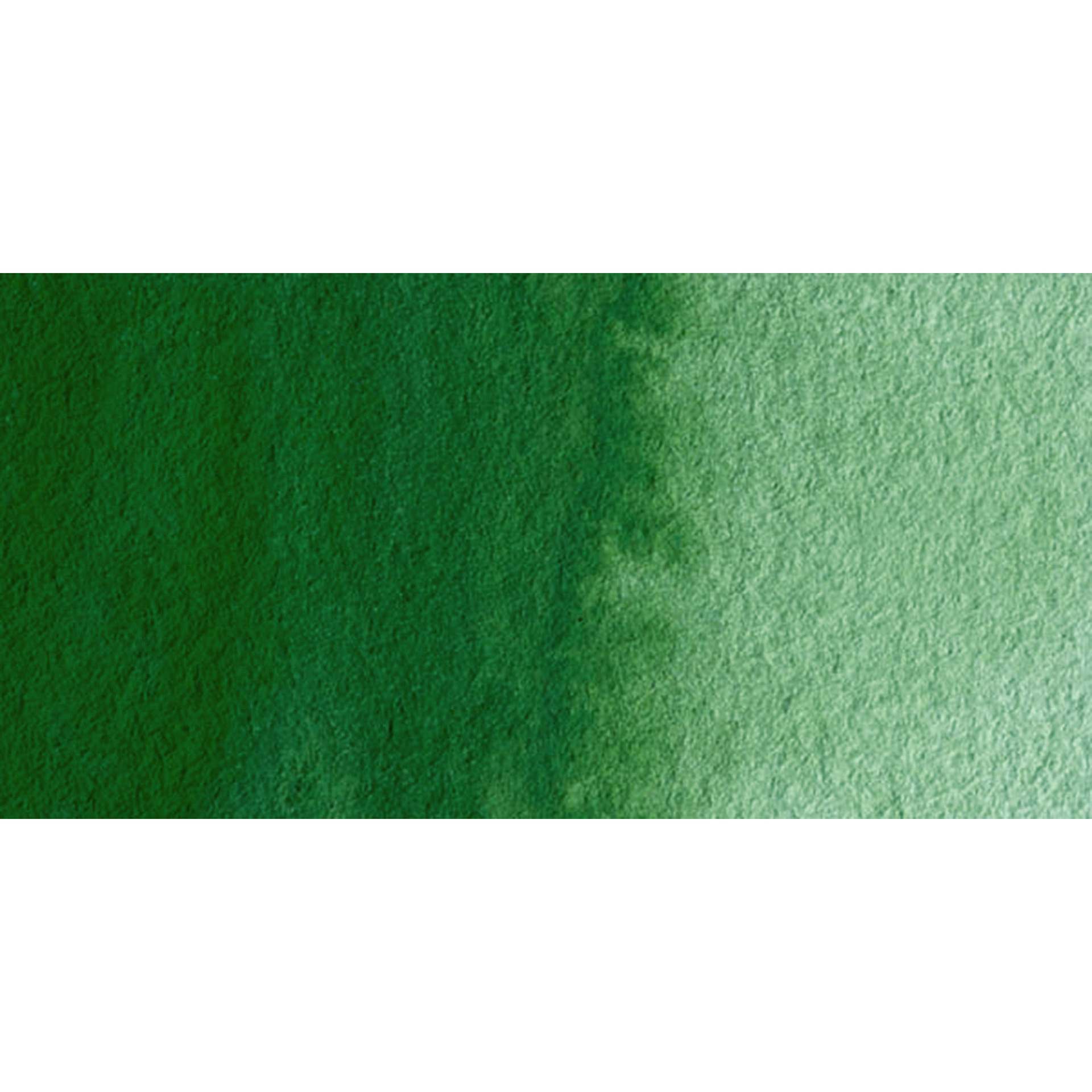 Schmincke Horadam Aquarell Watercolor - Chromium Oxide Green, Swatch