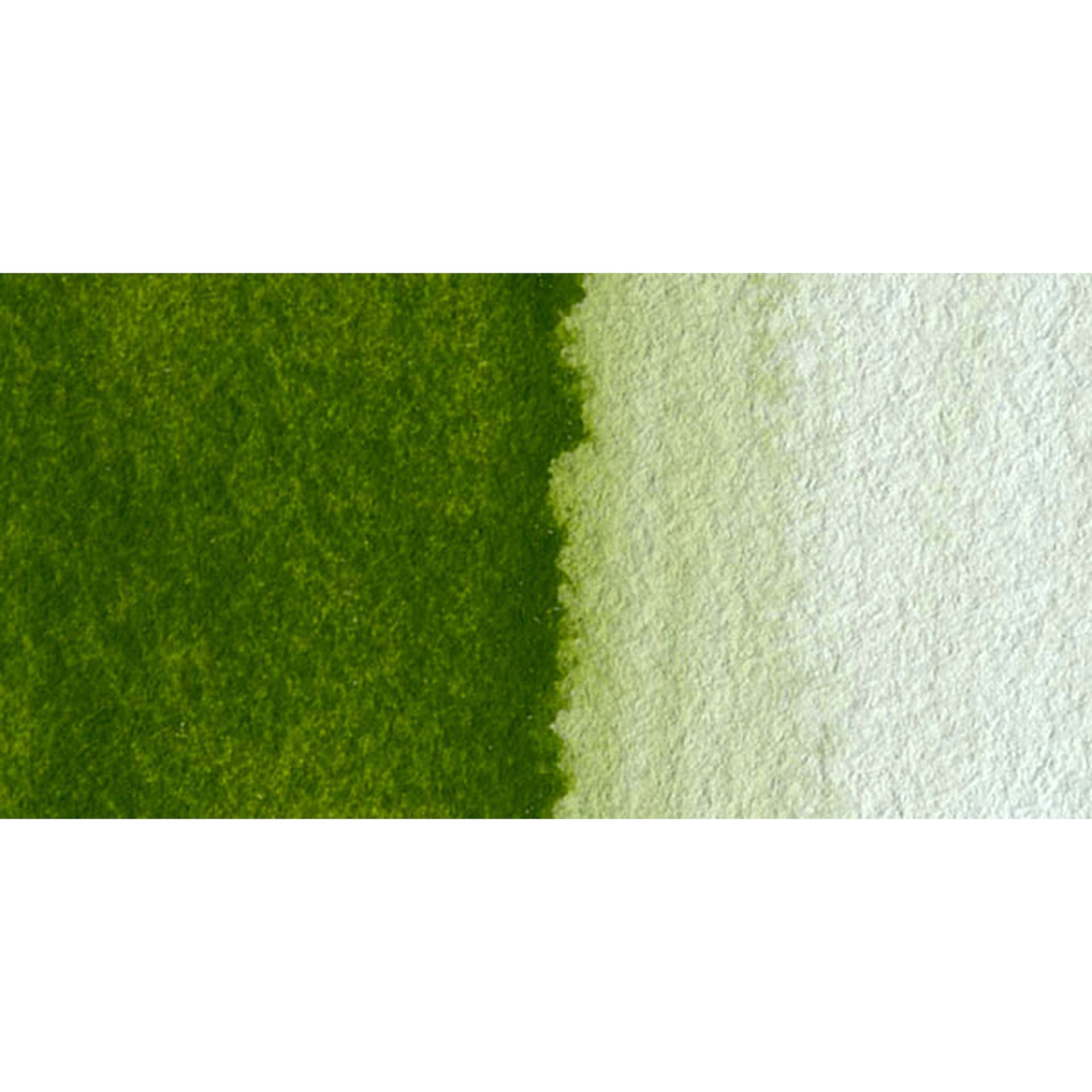 Schmincke Horadam Aquarell Watercolor - Olive Green Yellowish, Swatch