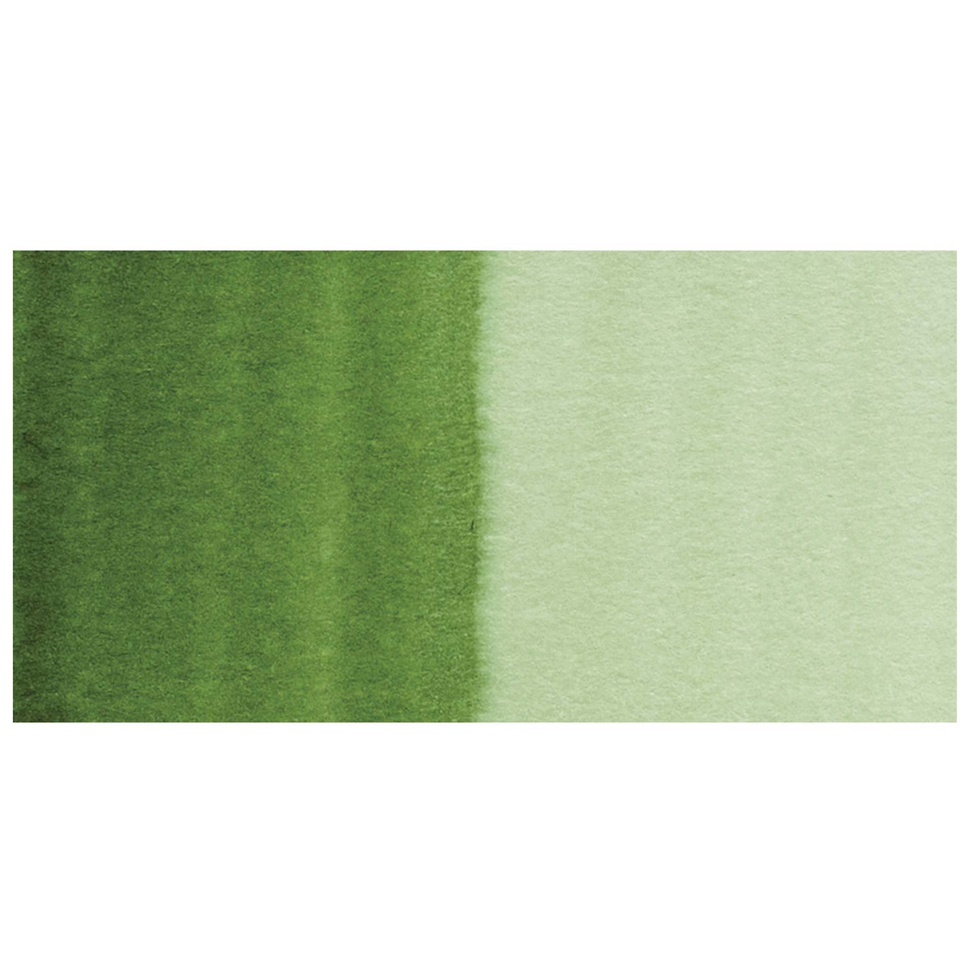 Schmincke Aqua Drop Watercolor - Olive Green swatch