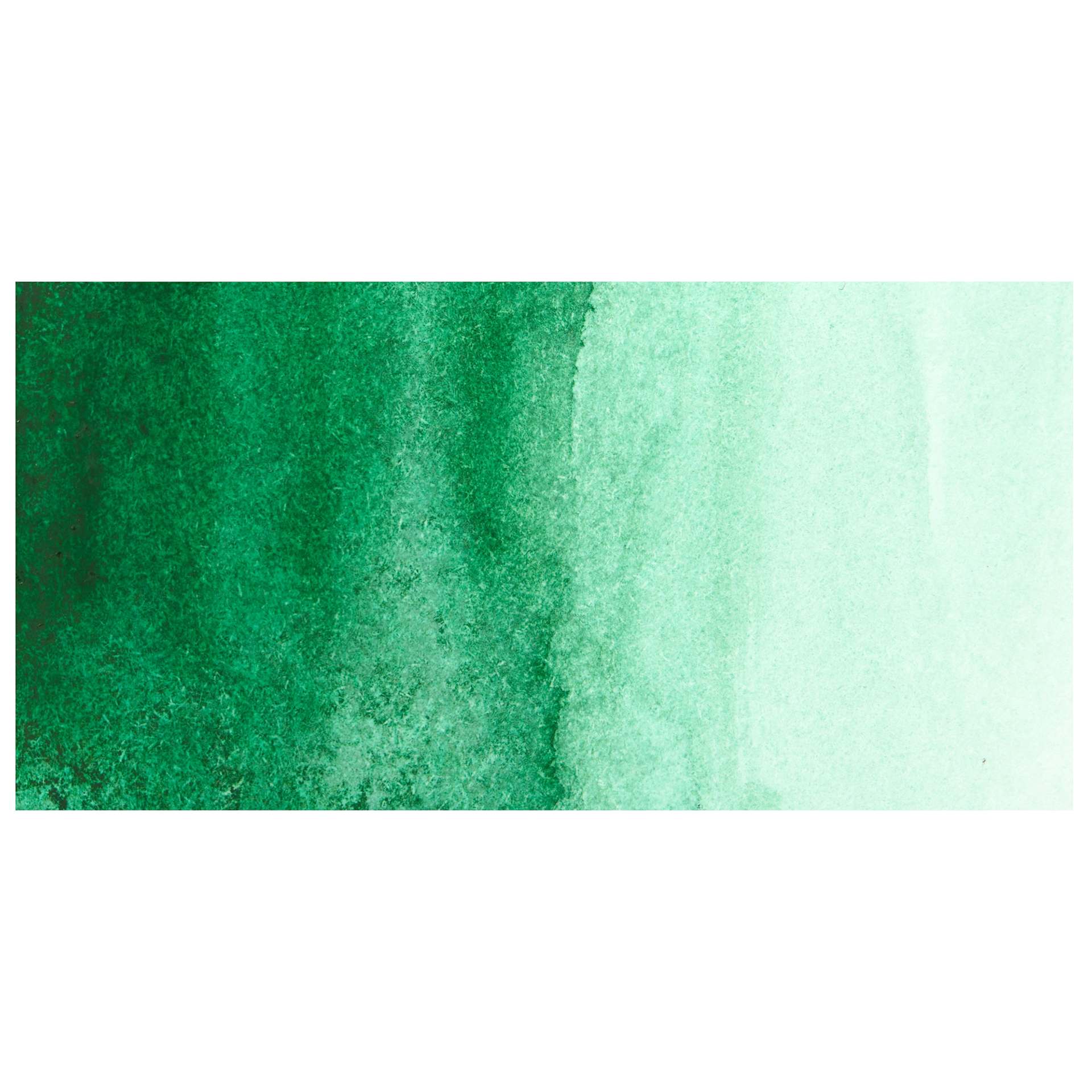 Schmincke Akademie Aquarell Watercolor Pan - Permanent Green swatch
