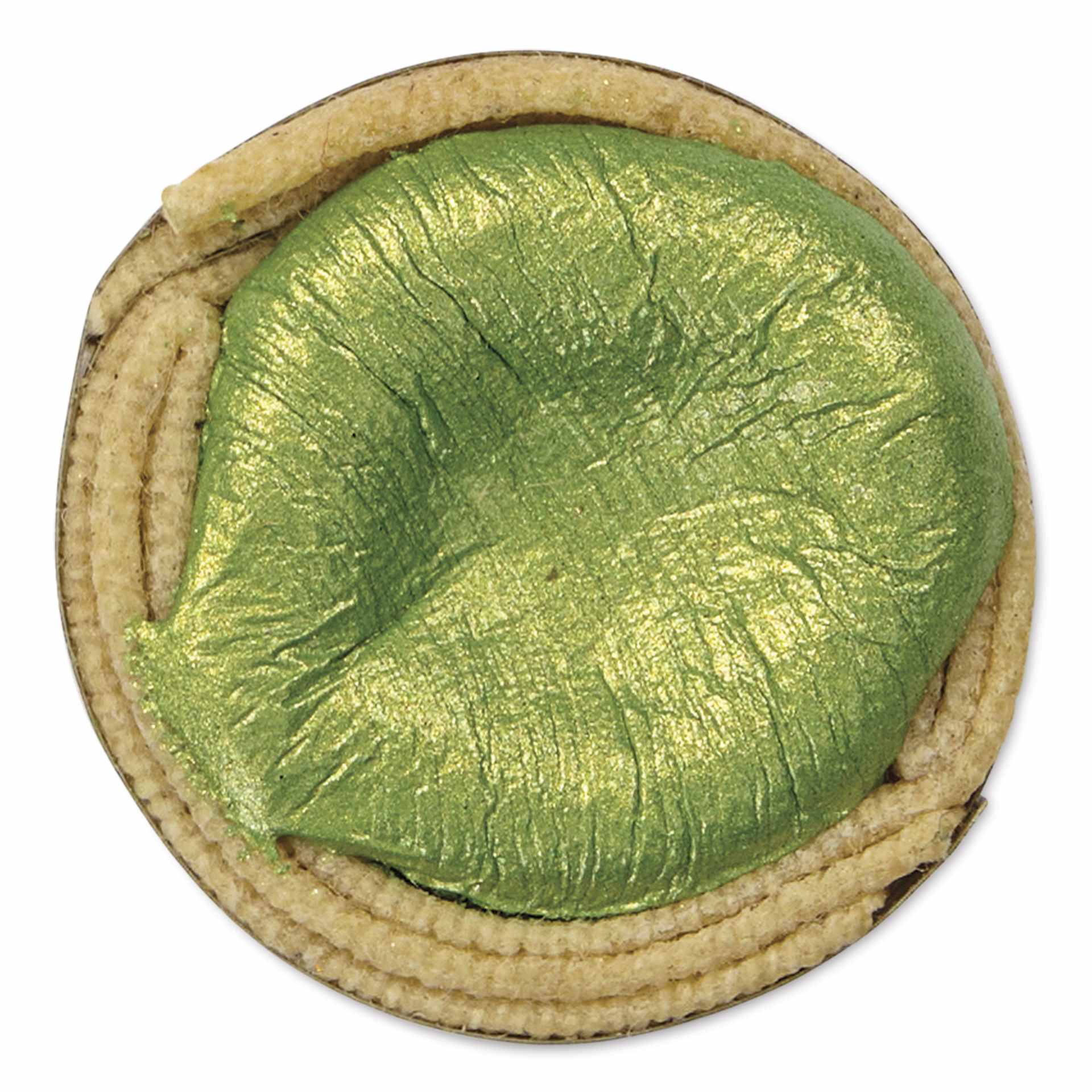 Beam Paints Watercolor Paintstone - Fiddlehead Green top view