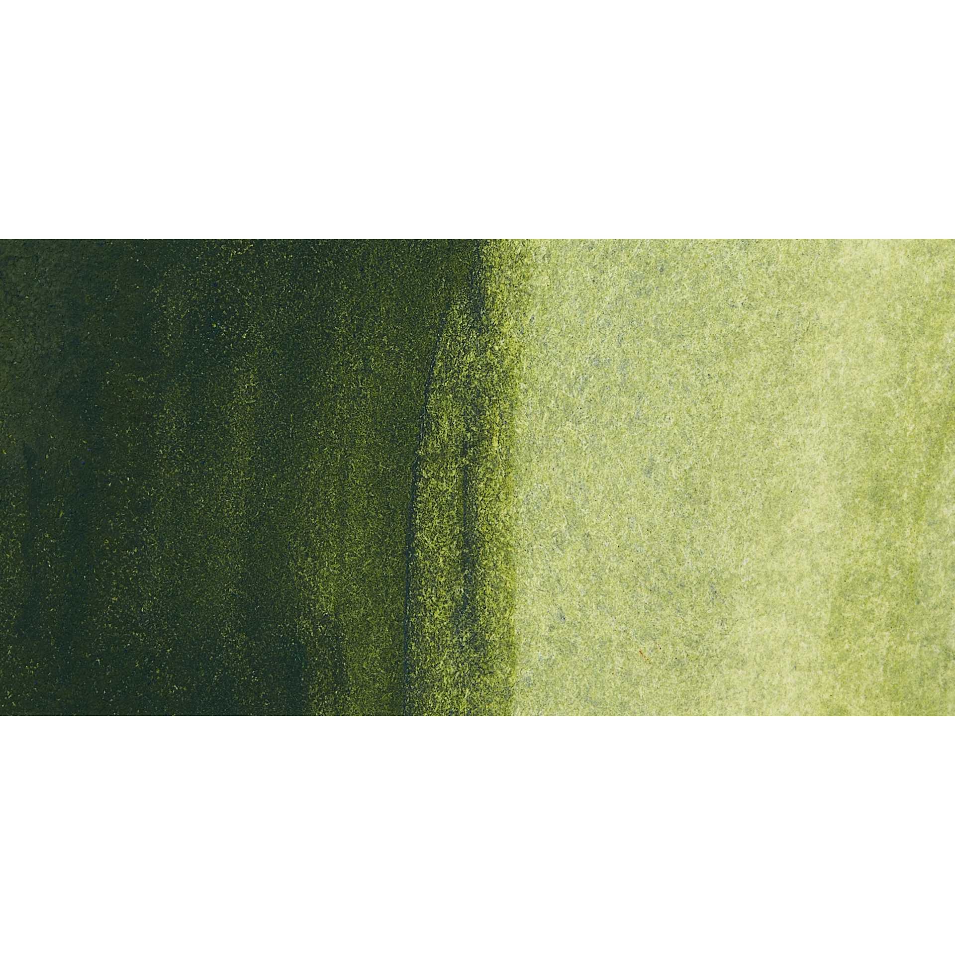 Jackman's Finest Professional Watercolour - Rainforest Green Swatch