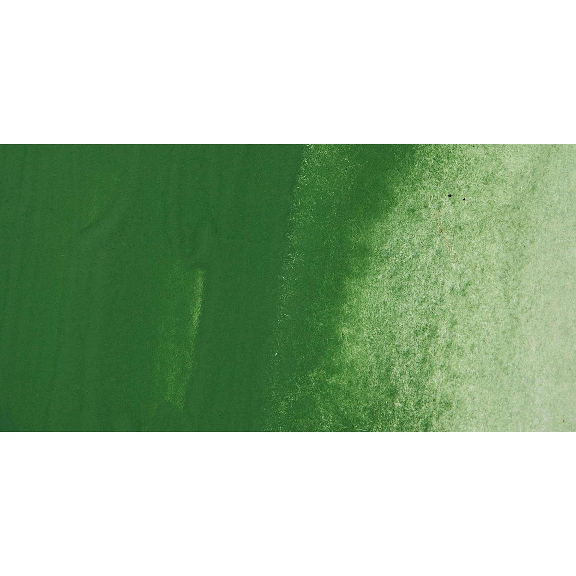 Jackman's Finest Professional Watercolour - Chrome Oxide Green Swatch