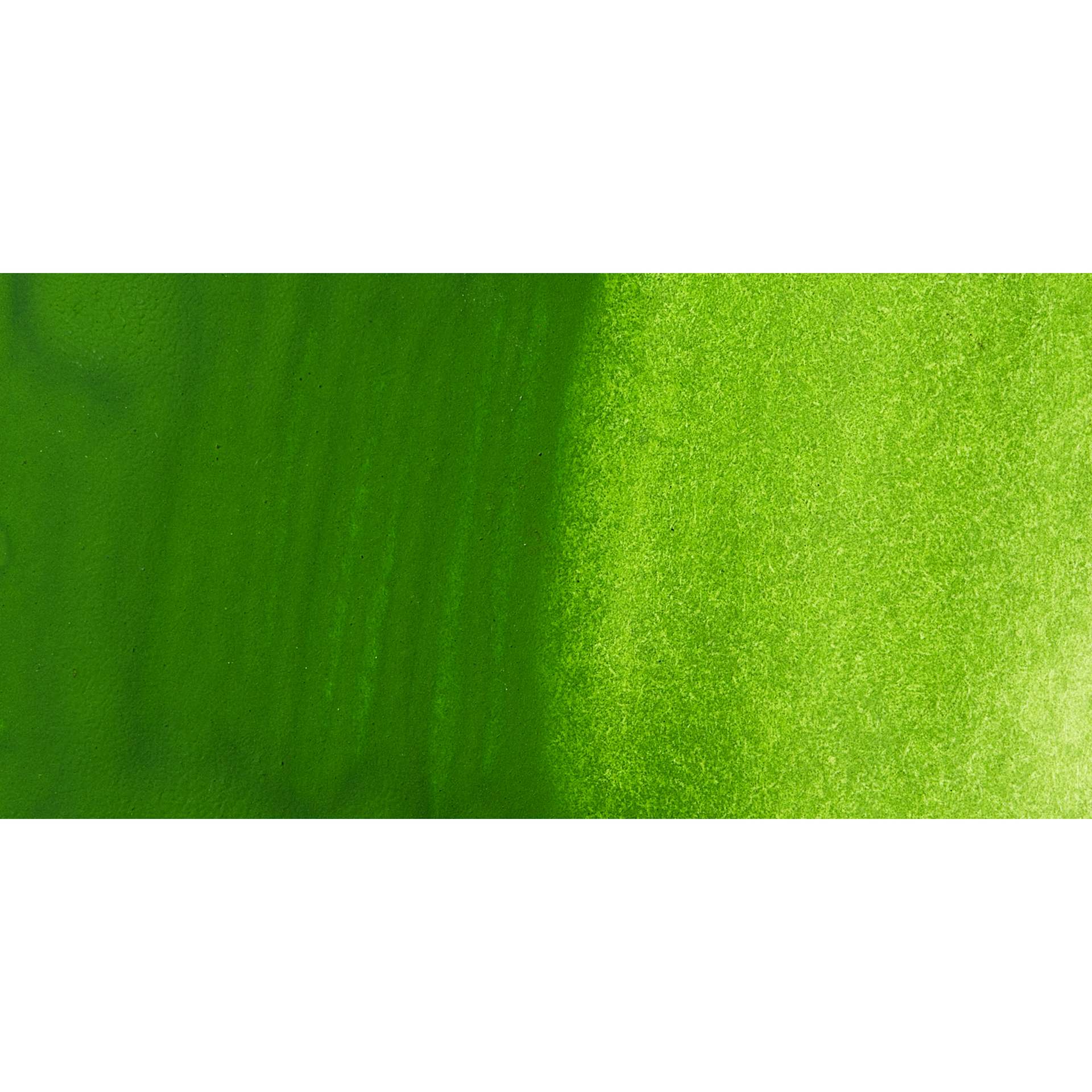 Jackman's Finest Professional Watercolour - Sap Green Swatch