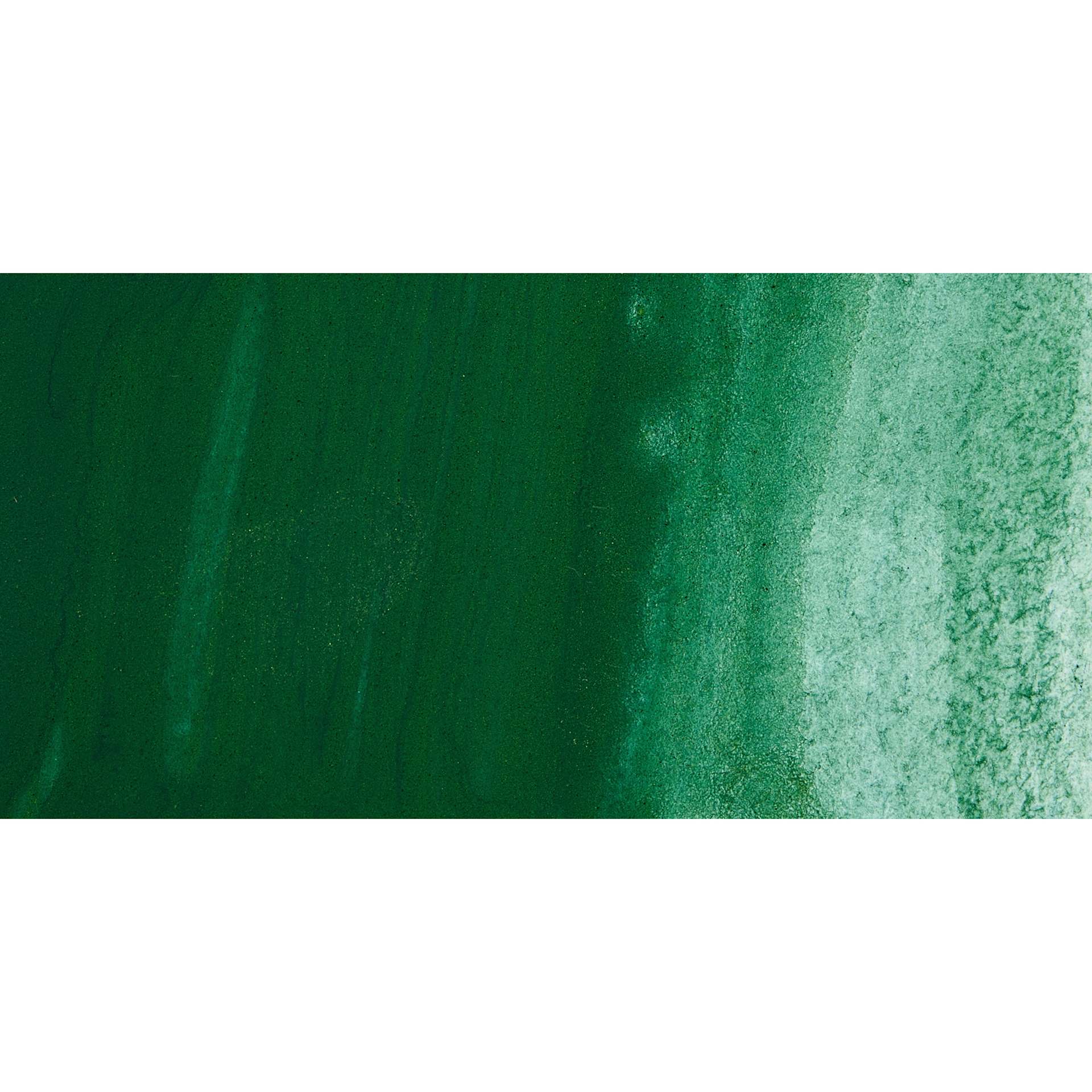 Jackman's Finest Professional Watercolour - Darkest Green Swatch