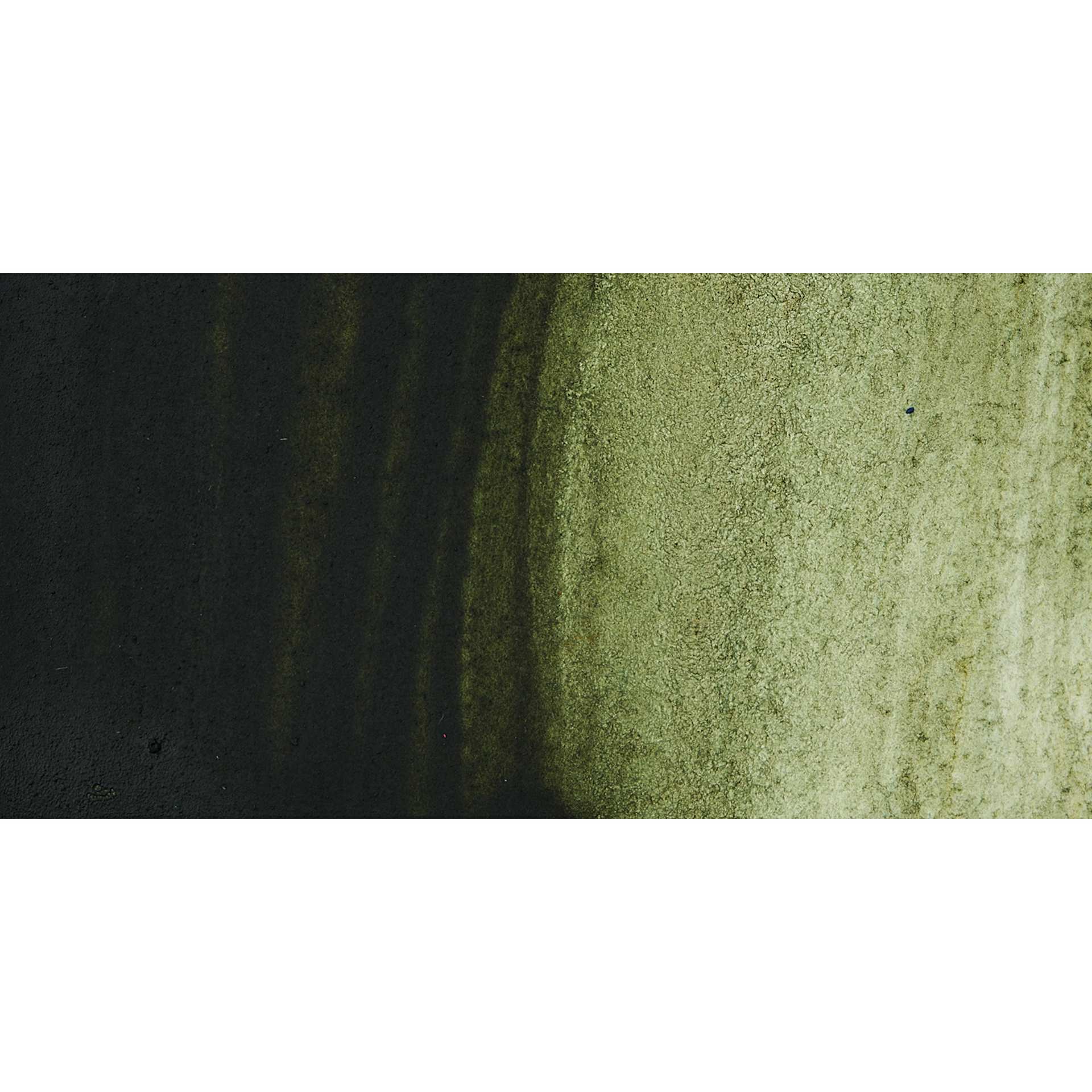 Jackman's Finest Professional Watercolour - Forest Shadow Swatch