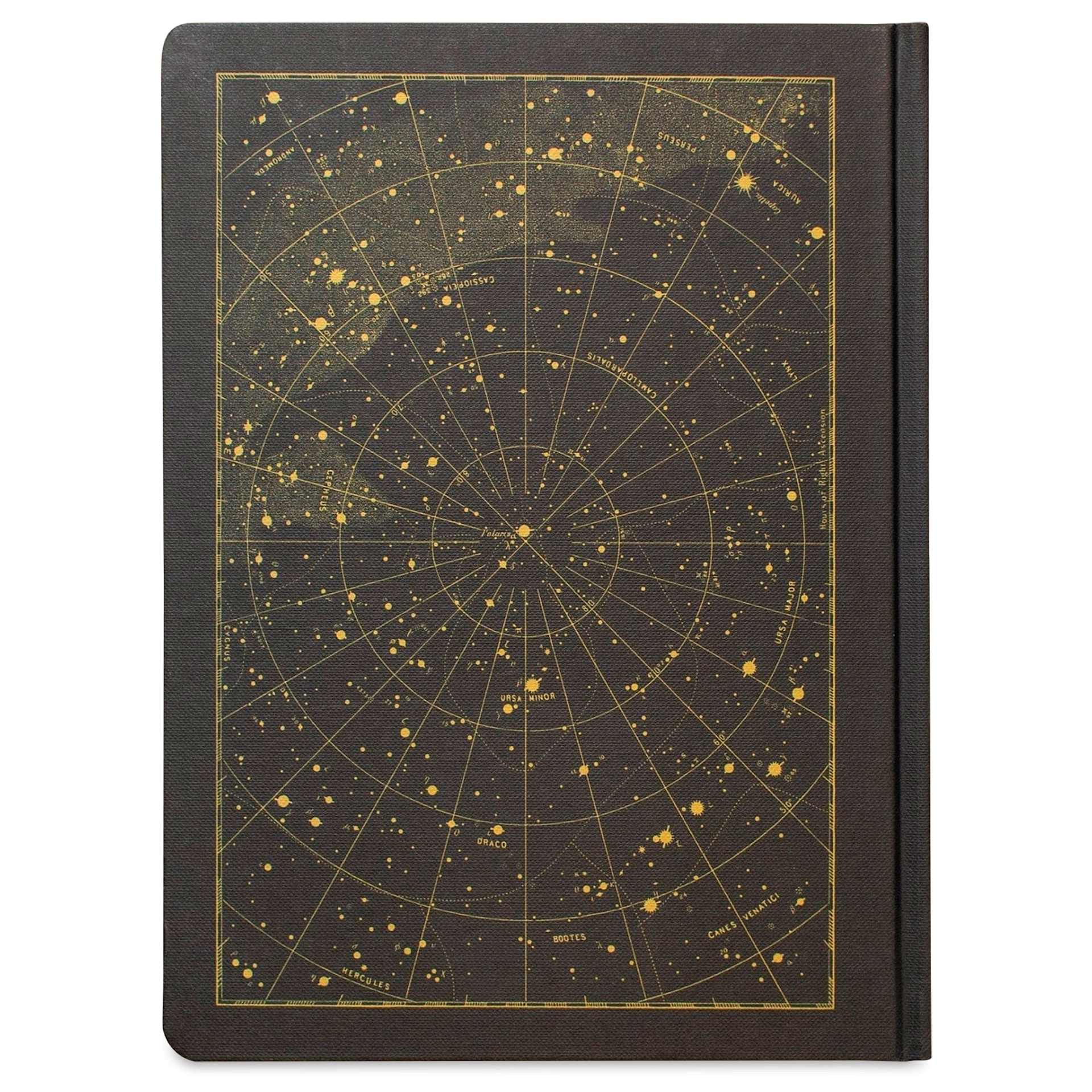 Cognitive Surplus Dark Matter Notebook - Night Sky, back cover