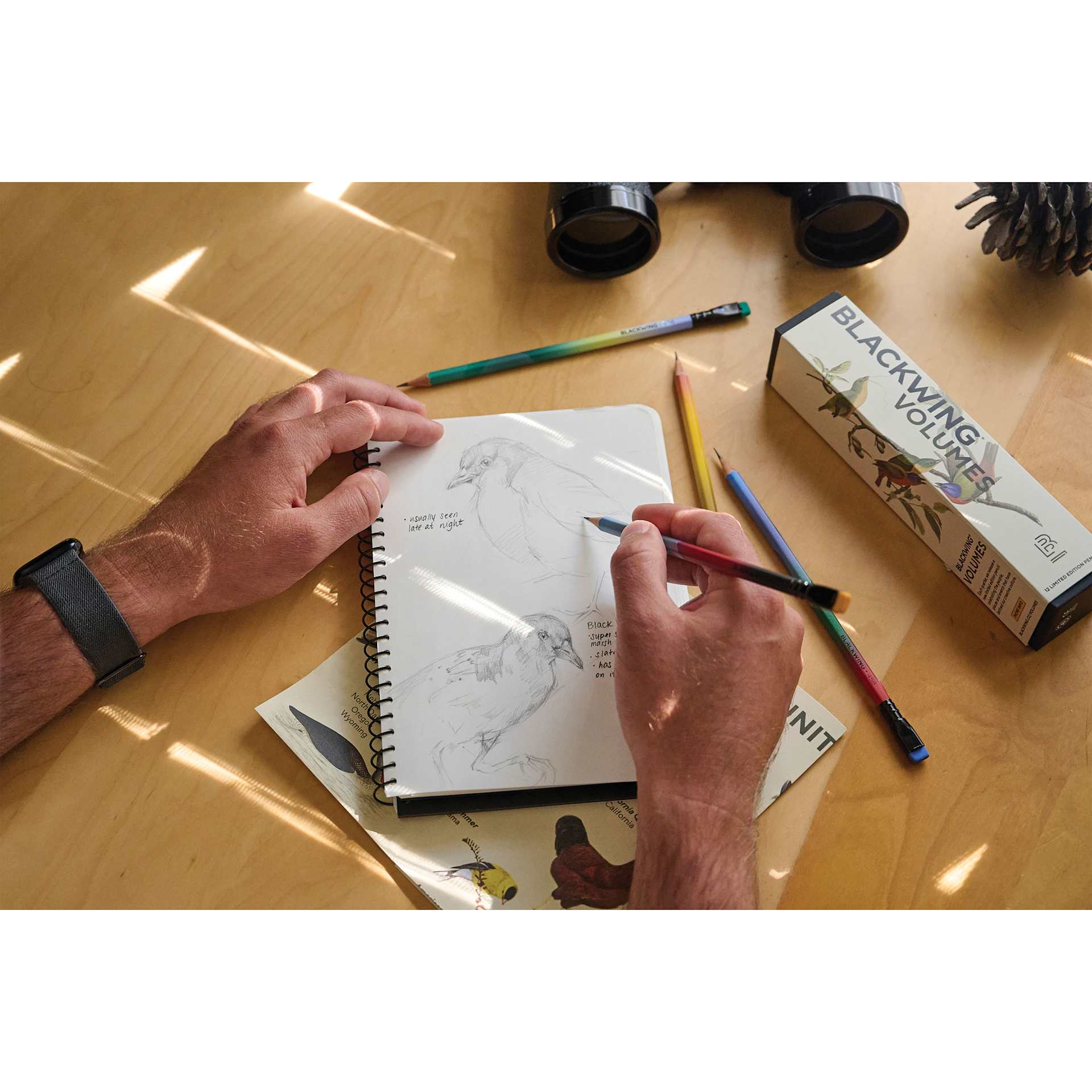 Blackwing Volume 458 Birding Pencil Pack - Pkg of 12, pencil with pad in studio