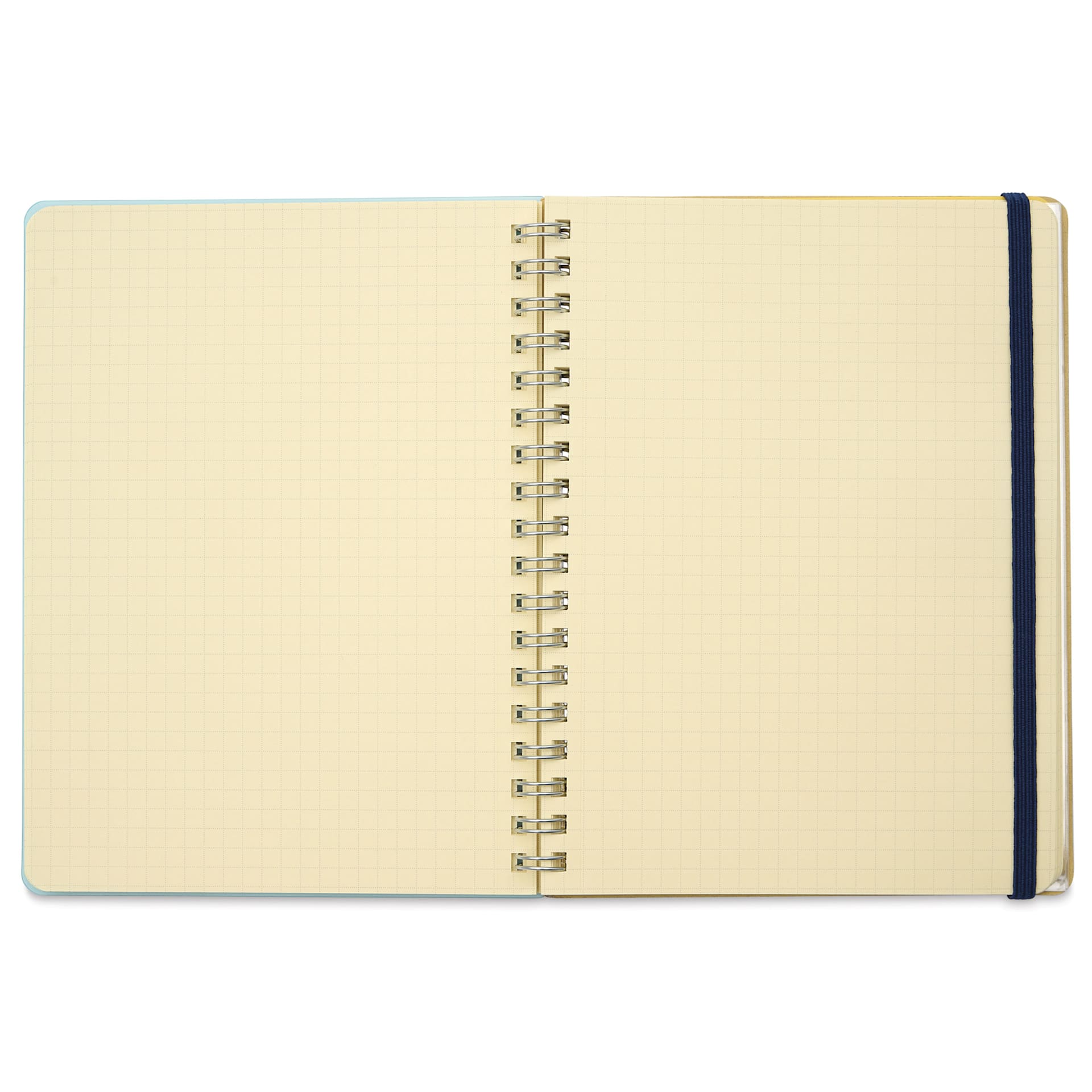 Delfonics Rollbahn Clear Plastic Notebook - 5-1/2" x 7", Blue