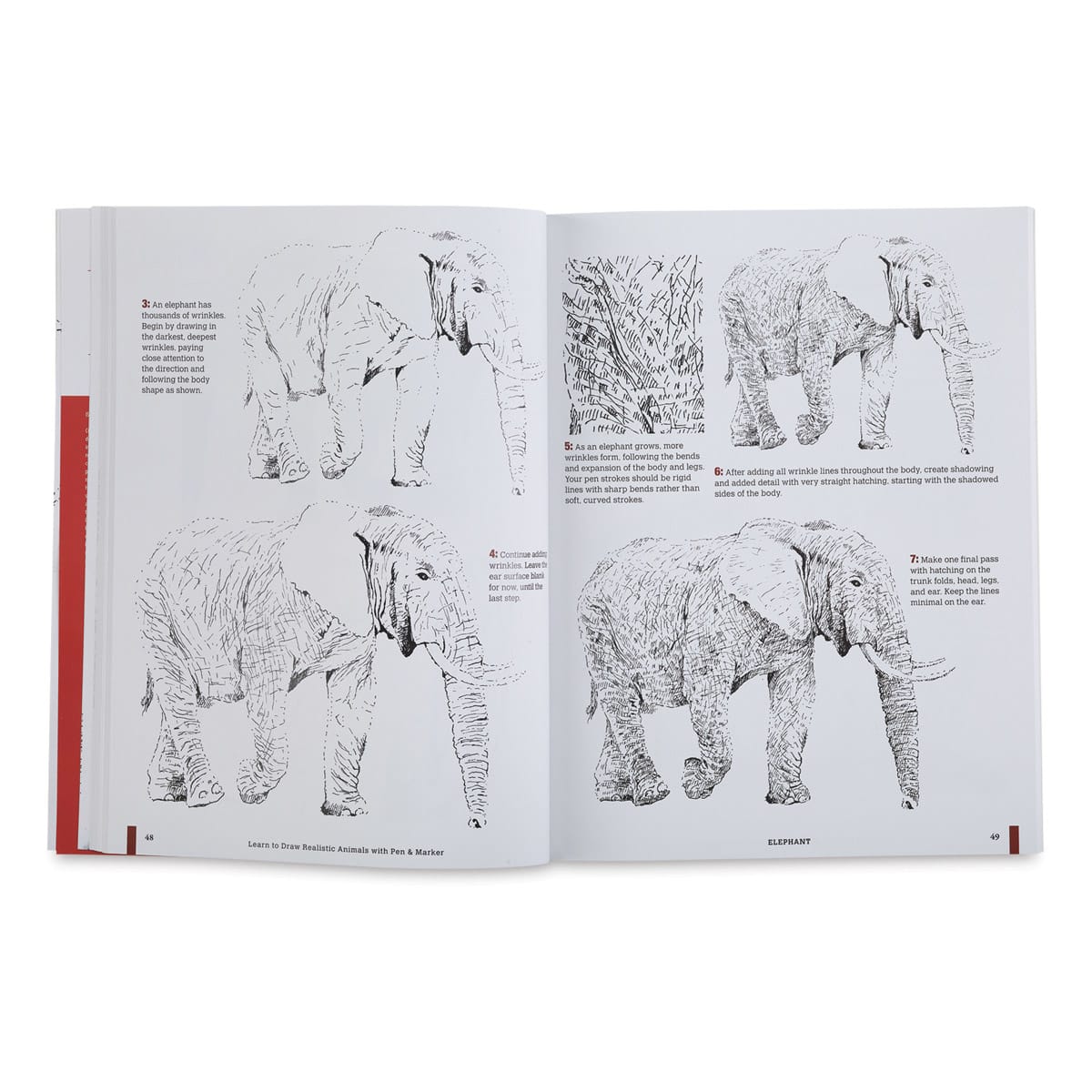 Learn to Draw Realistic Animals with Pen and Marker, Book Page
