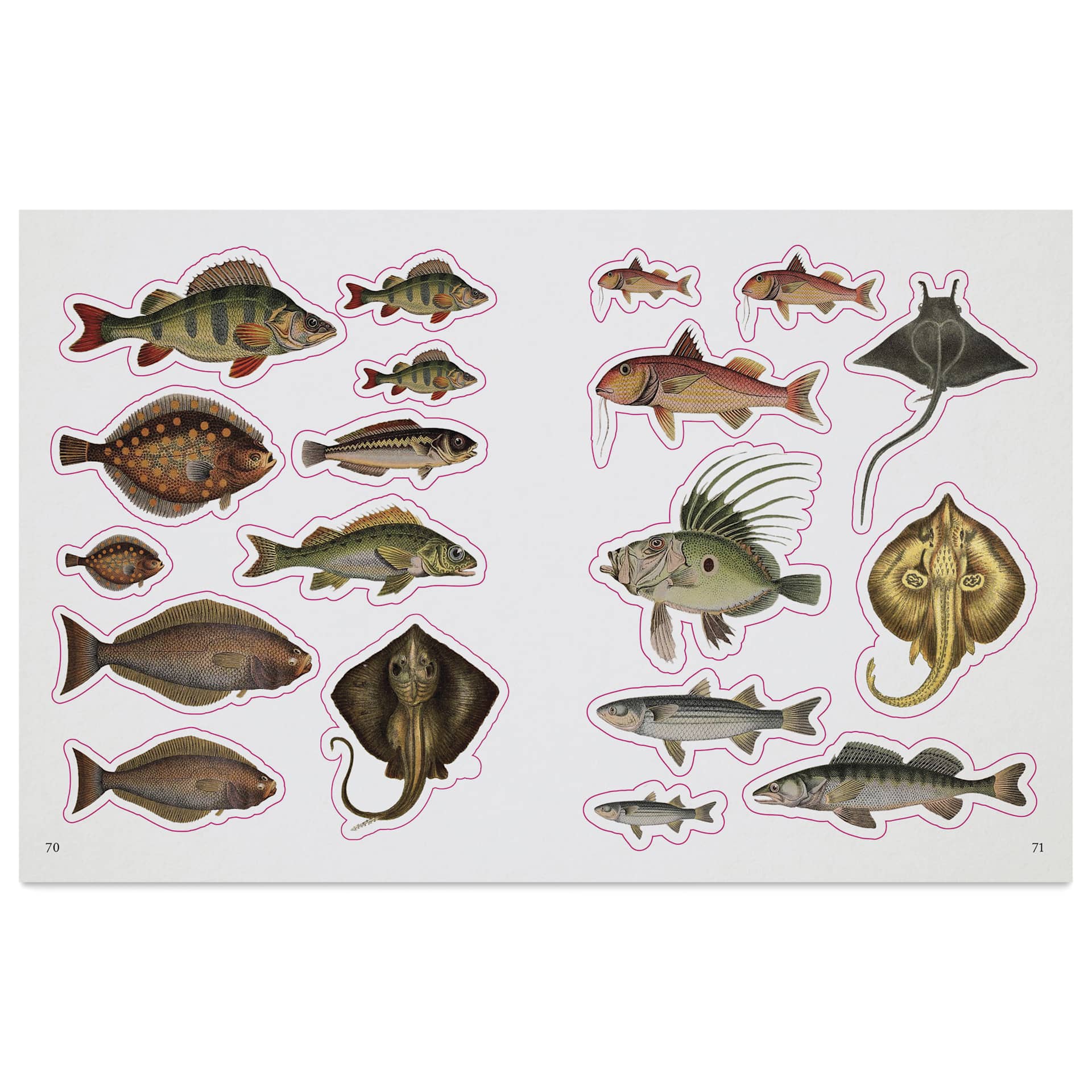 The Seashore Sticker Anthology, various fish and rays