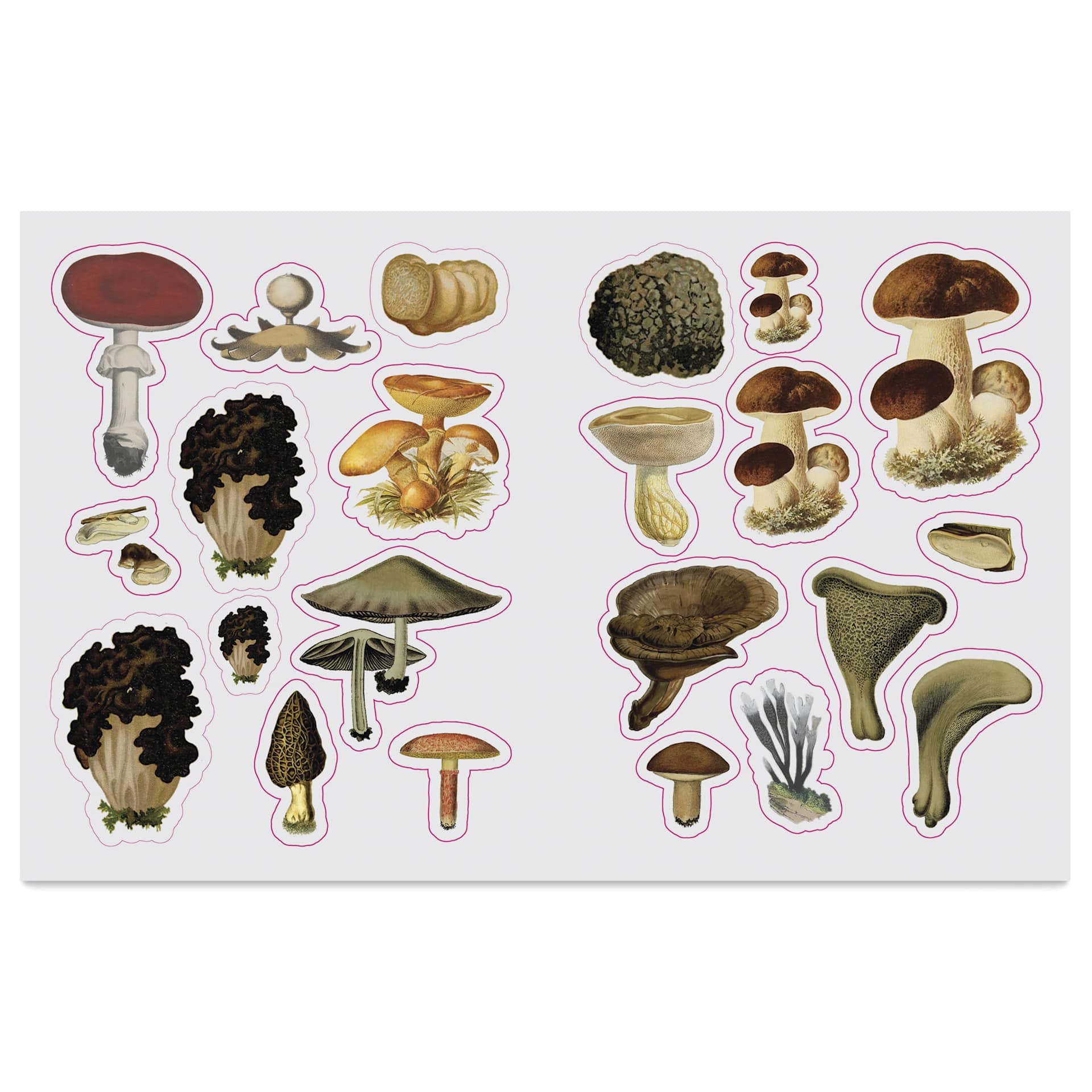 The Forests, Fairies, and Fungi Sticker Anthology, fungi