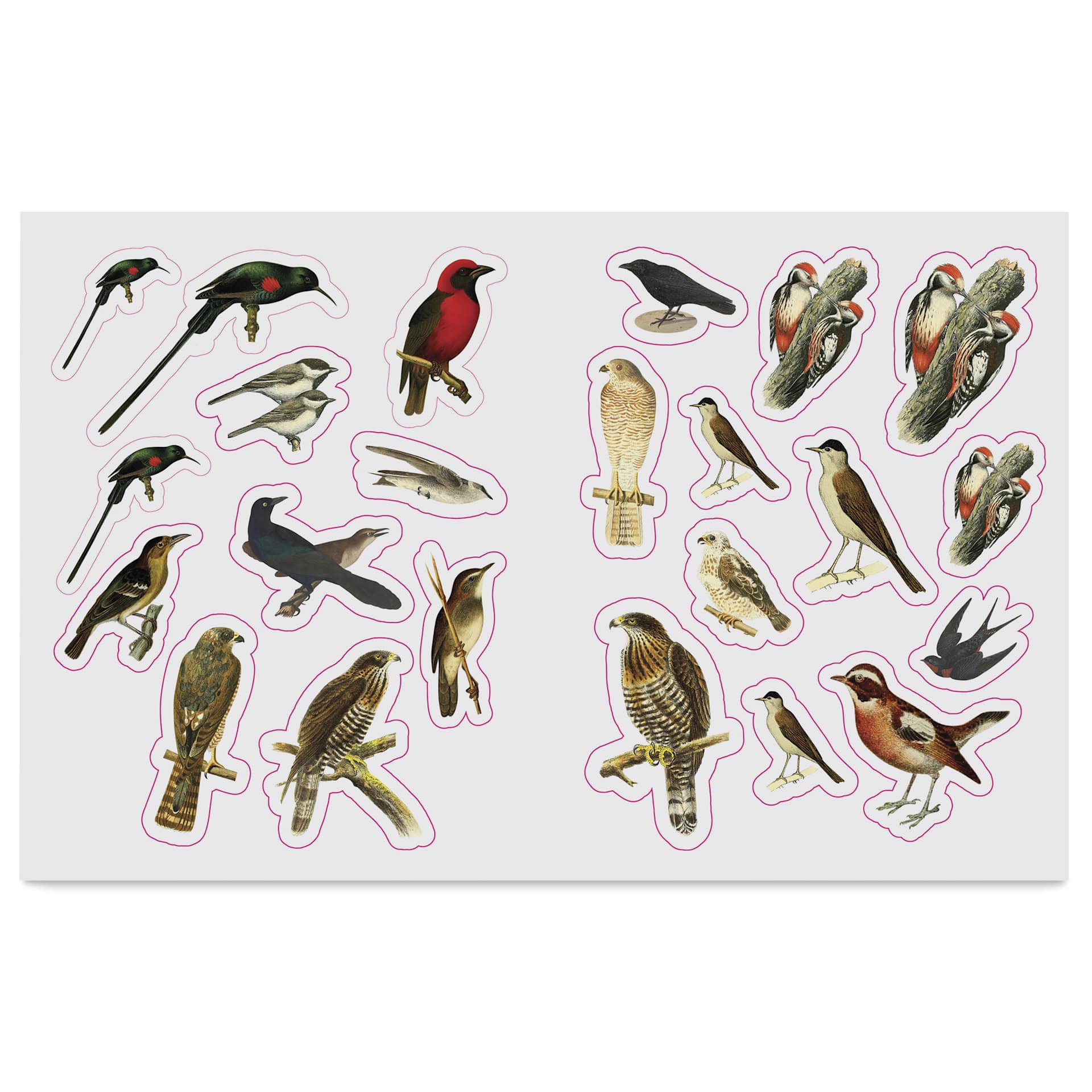 The Forests, Fairies, and Fungi Sticker Anthology, birds
