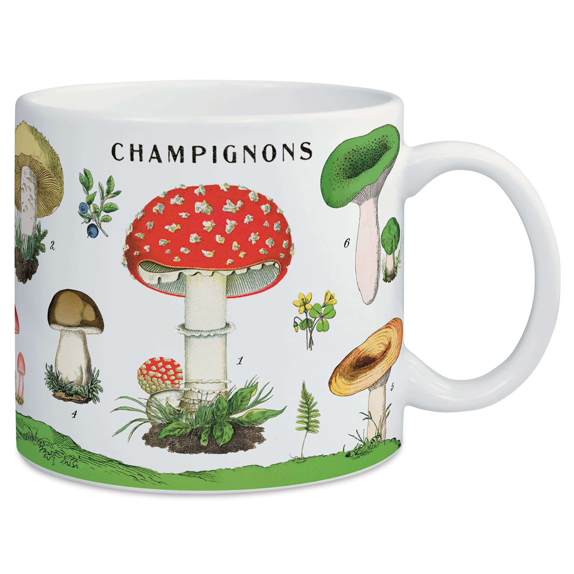 Cavallini Vintage Mushrooms Mug out of packaging