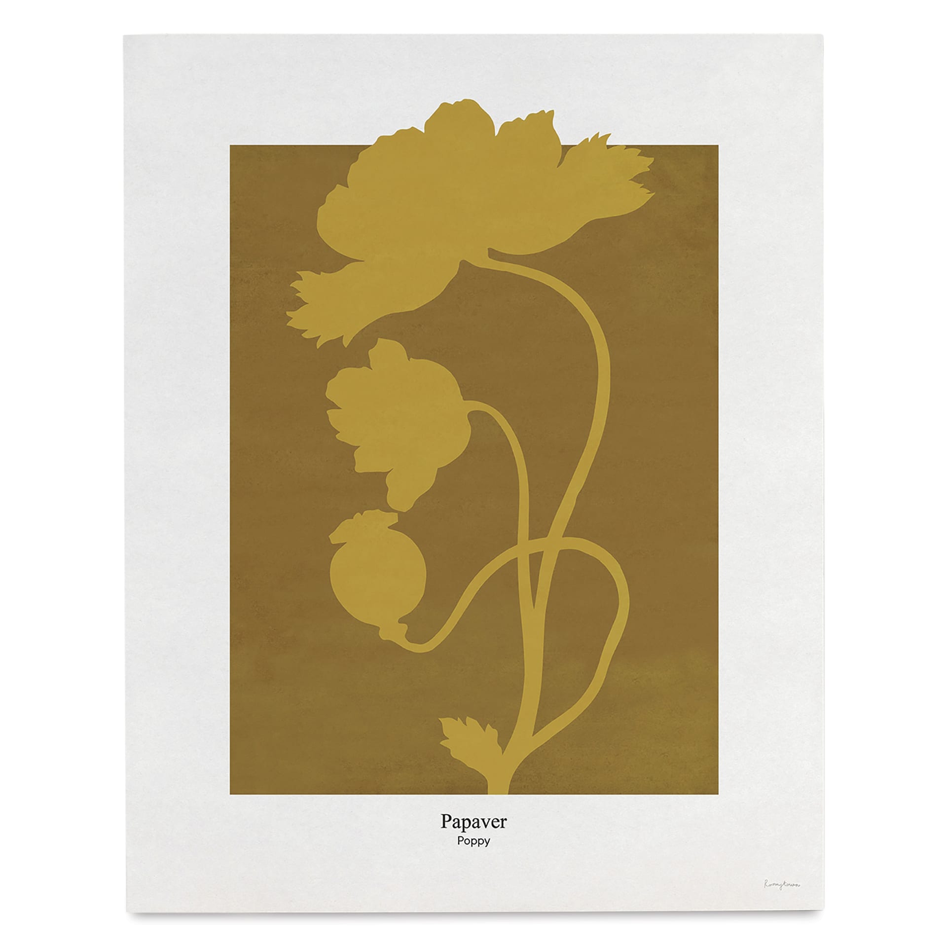 Roomytown Philipp Otto Runge Botancials Fine Art Giclee Print - Poppy, 11" x 14"