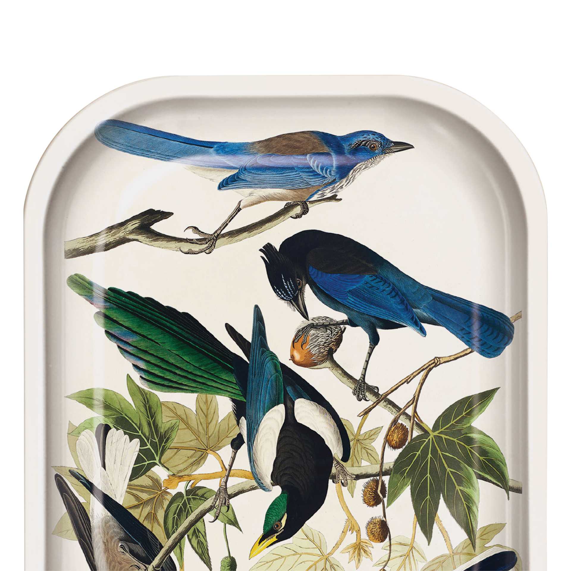 Curious Prints Vintage Metal Tray - 5" x 7", Audubon Magpie Jays