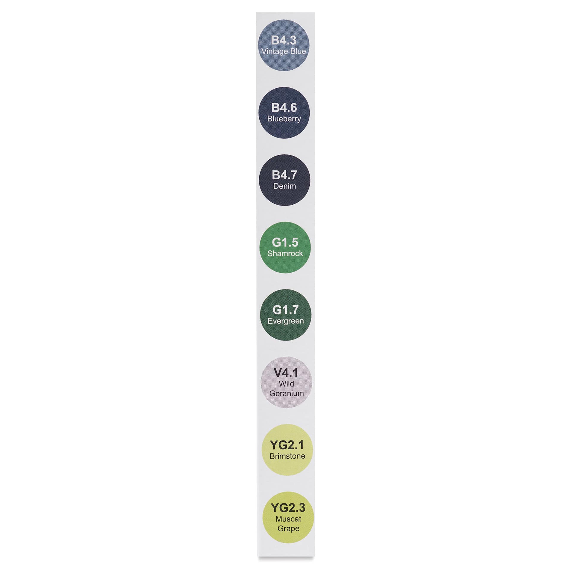 Olo Chisel Dual-Tip Markers - Set of 8, Landscape colors with codes